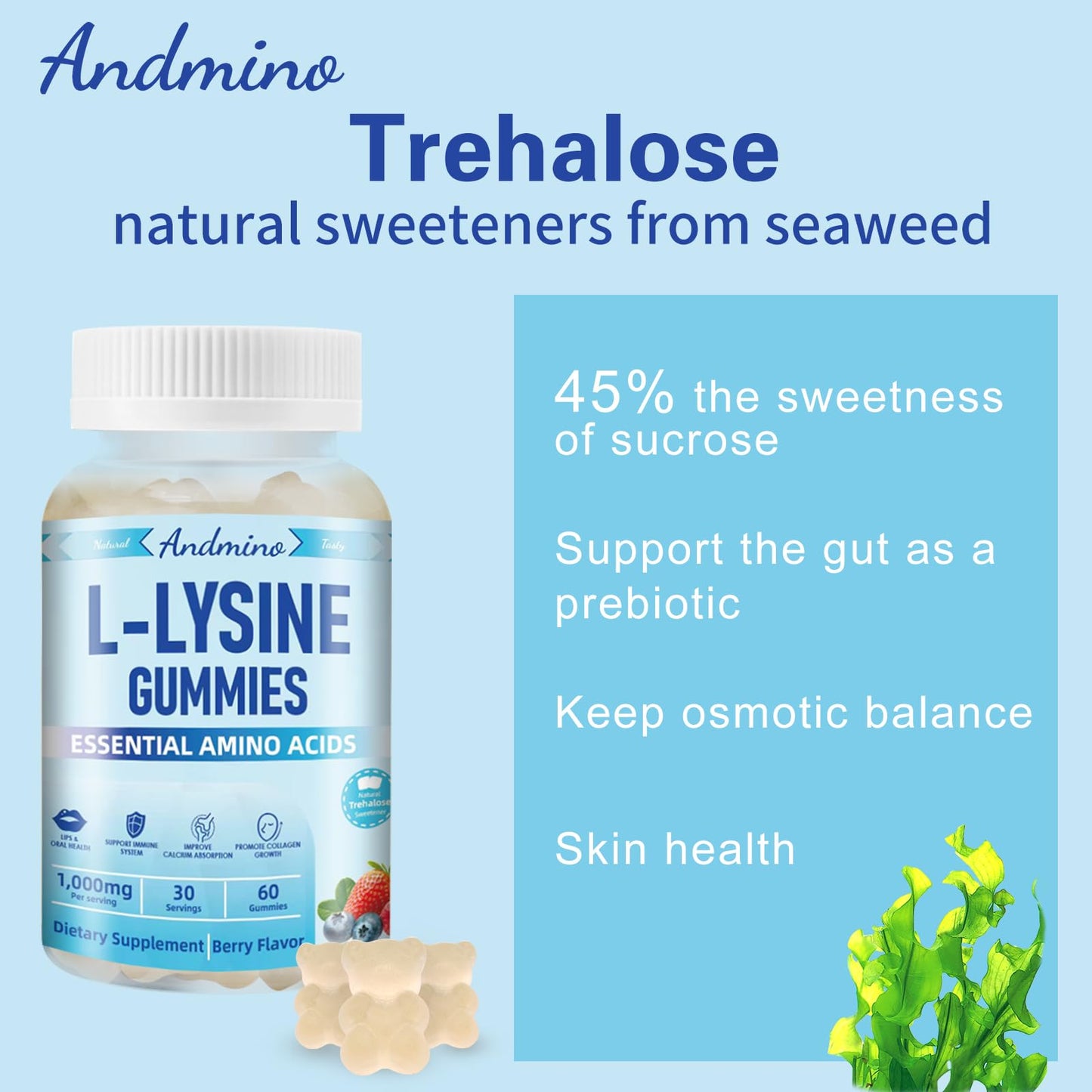 andmino L-Lysine Gummies 1000 mg, 120 Gummies