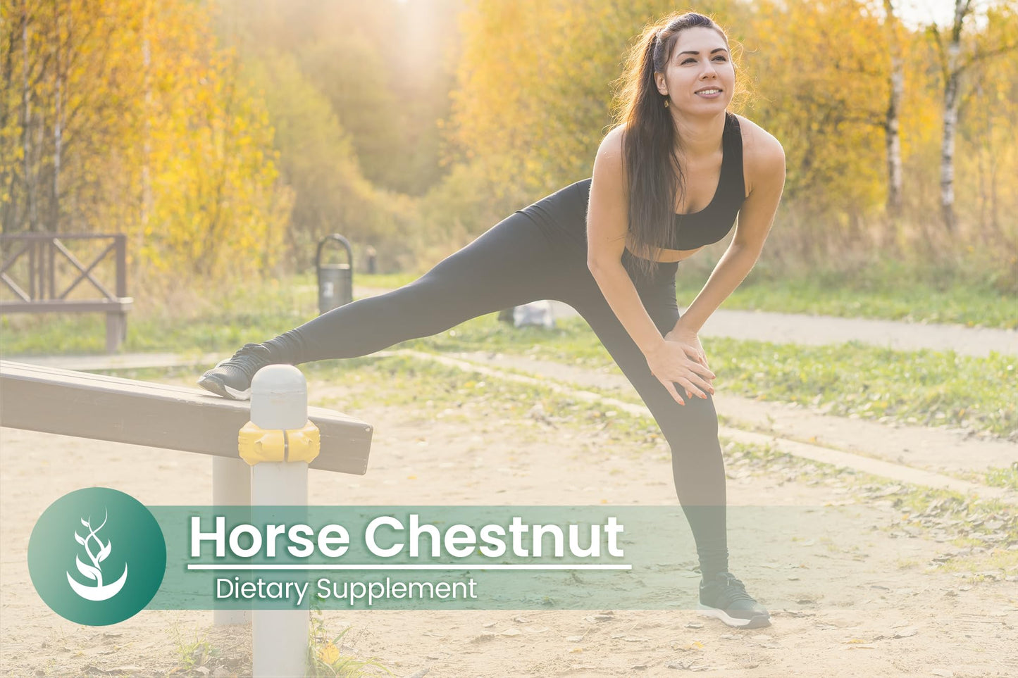 PURE ORIGINAL INGREDIENTS Horse Chestnut Capsules 100