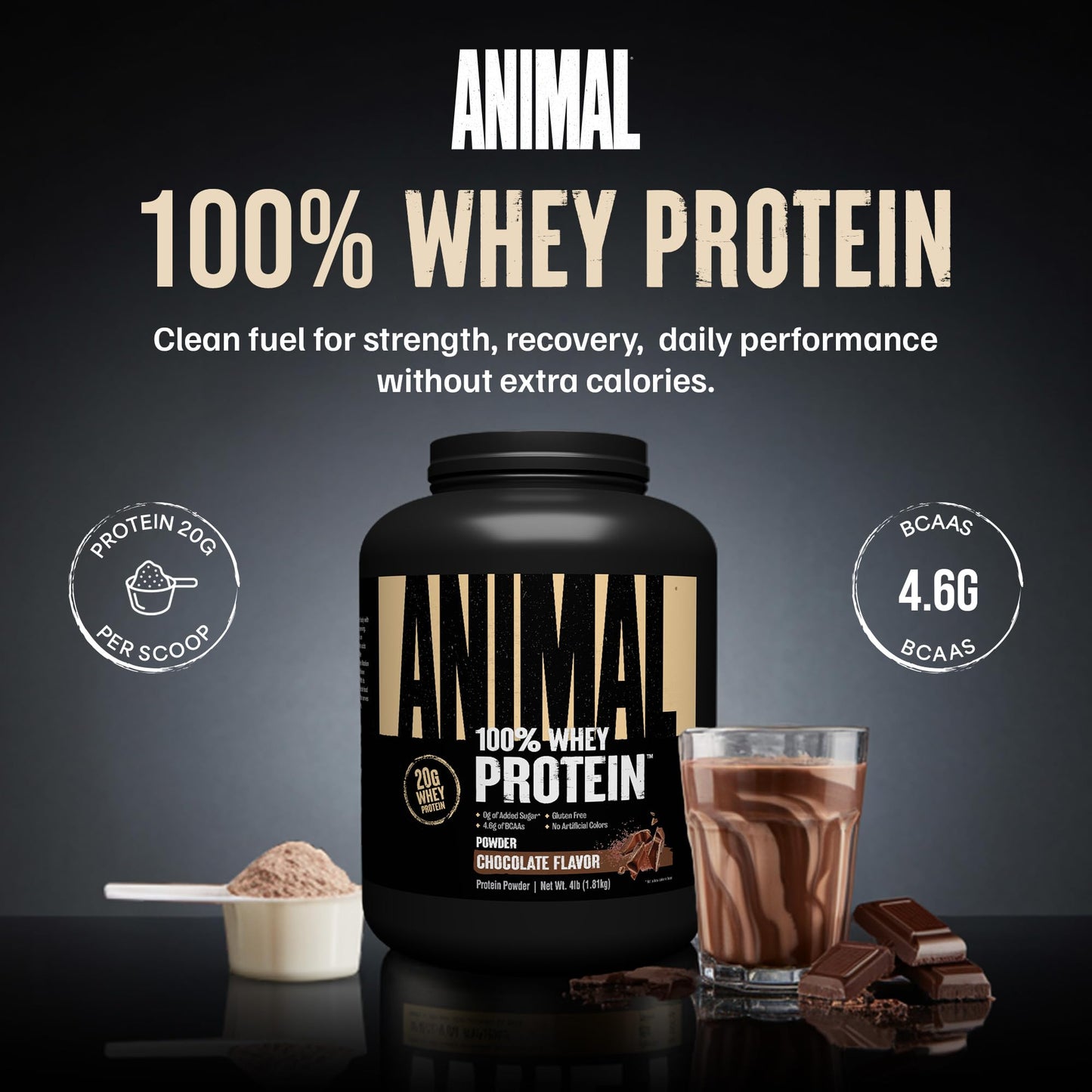 Animal 100% Whey Protein Powder – Whey Blend with BCAA, Chocolate, 64 Servings