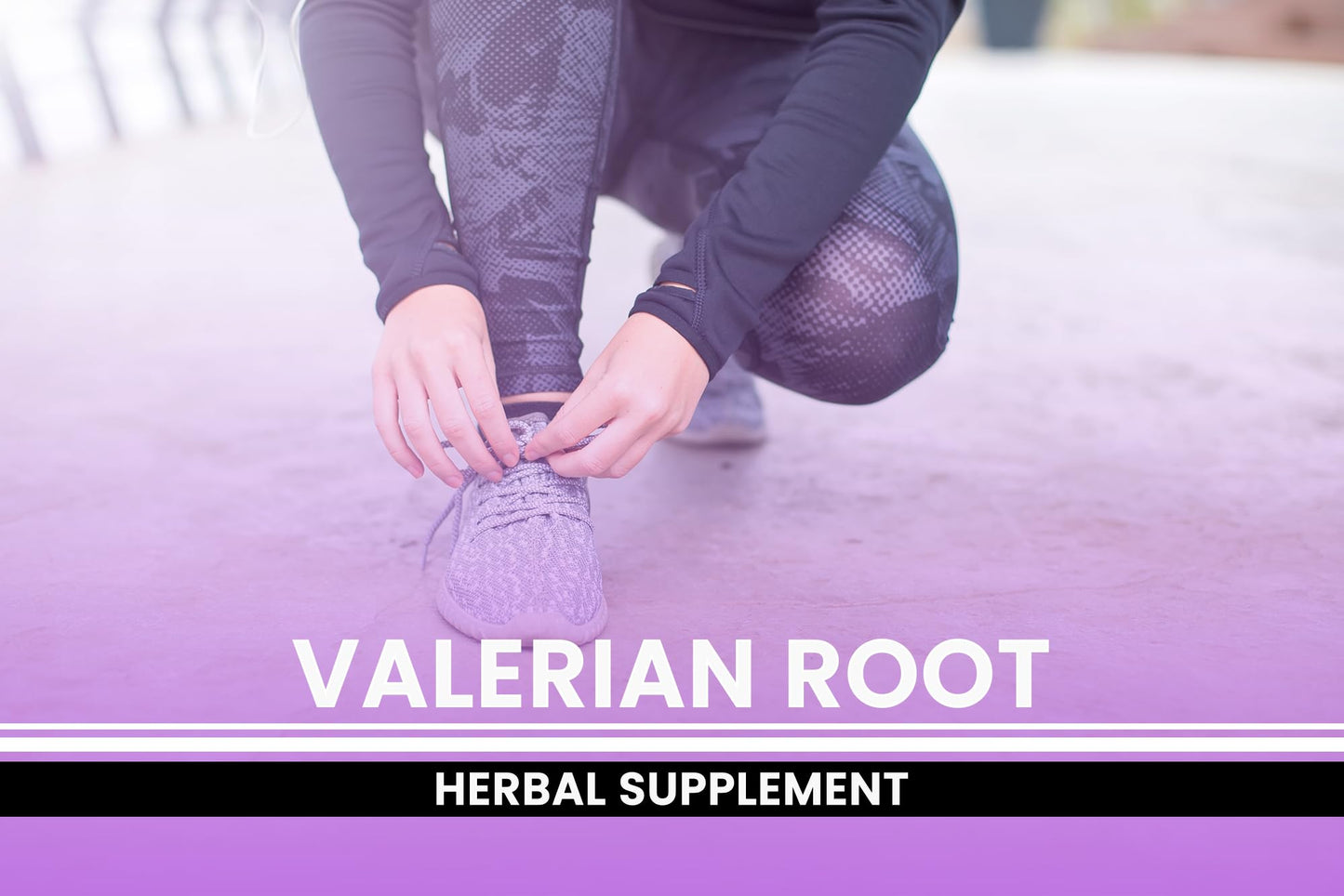 PURE ORIGINAL INGREDIENTS Valerian Root Capsules 365
