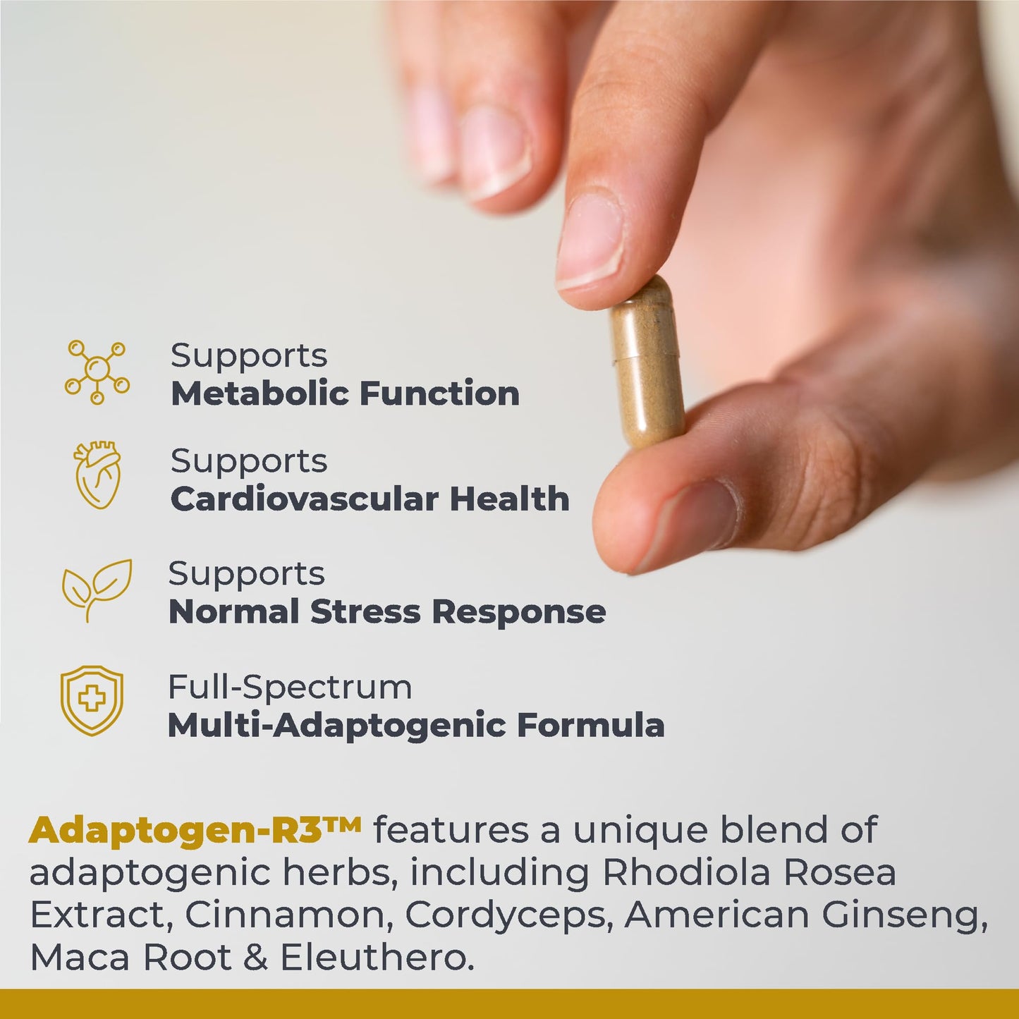 Premier Research Labs Adaptogen-R3 Supplement - Rhodiola Rosea Supplement with Maca Root, Adaptogen Complex for Stress, Heart & Metabolic Health, 90 Vegetarian Capsules