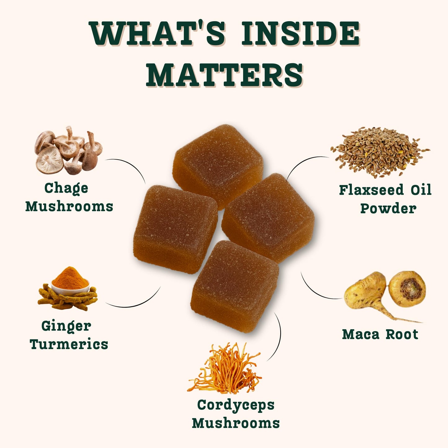 Baker's Botanics Menstrual Mushroom Gummies 3 Pack