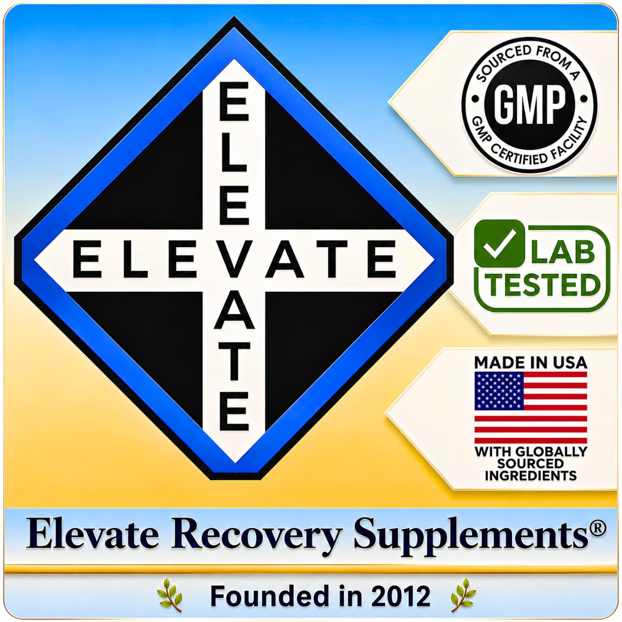 Elevate Recovery Supplements Respiratory-Max Lung & Respiratory Support Supplements 60 Capsules