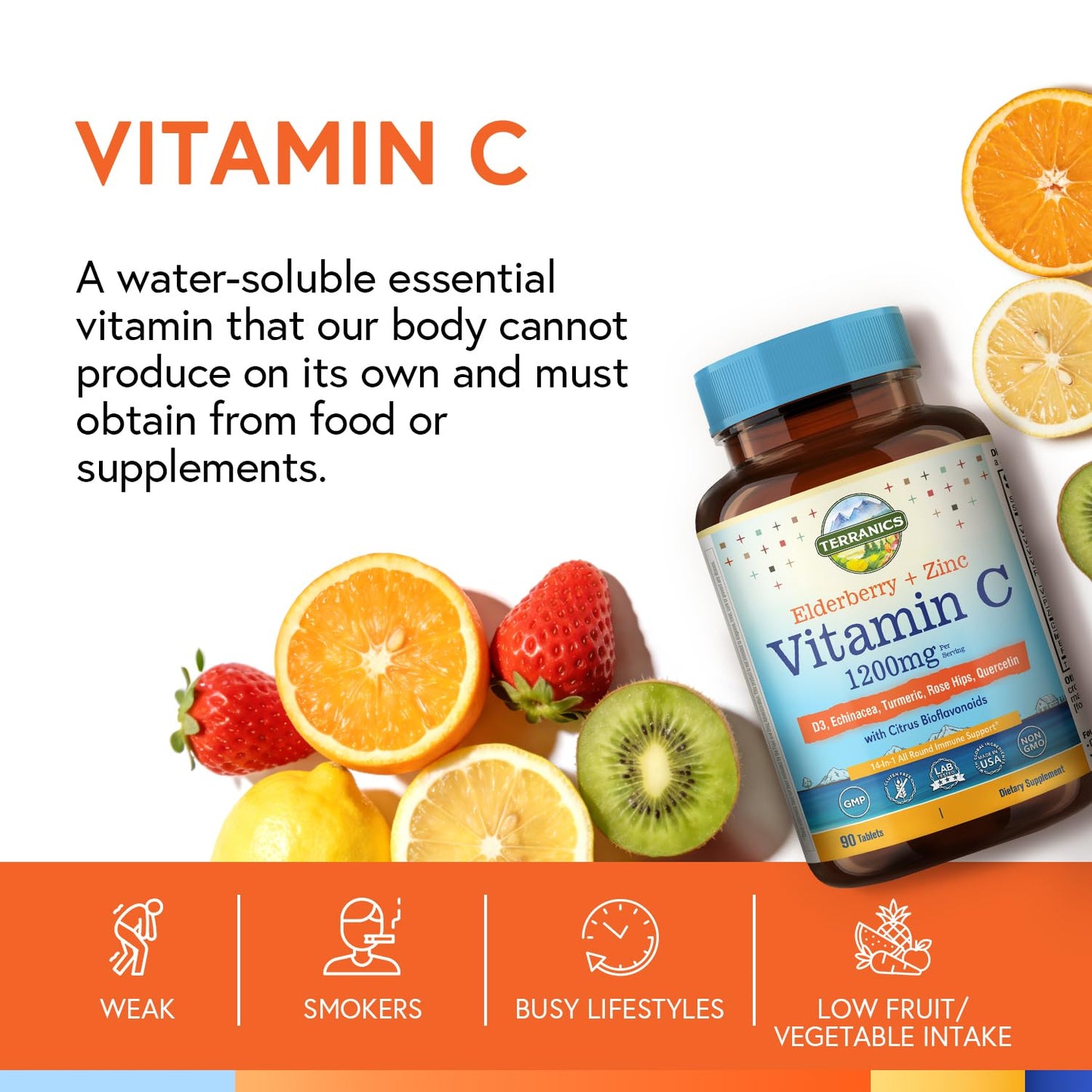 Terranics Vitamin C Elderberry Zinc with Vitamin D3 A B6 B12 Folate Rose Hips Citrus Bioflavonoids Turmeric Echinacea 14-in-1 Daily Immune Support, 90 Tablets
