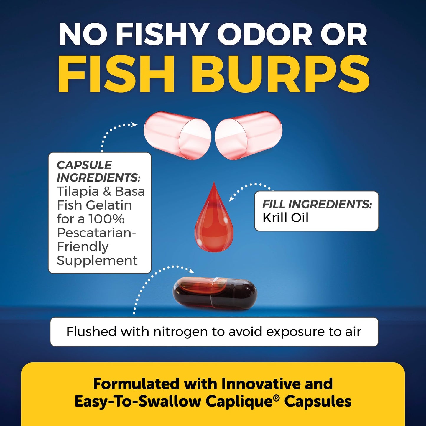 Viva Naturals Antarctic Krill Oil and Omega-3 Fish Oil Bundle Softgels, 2-Pack