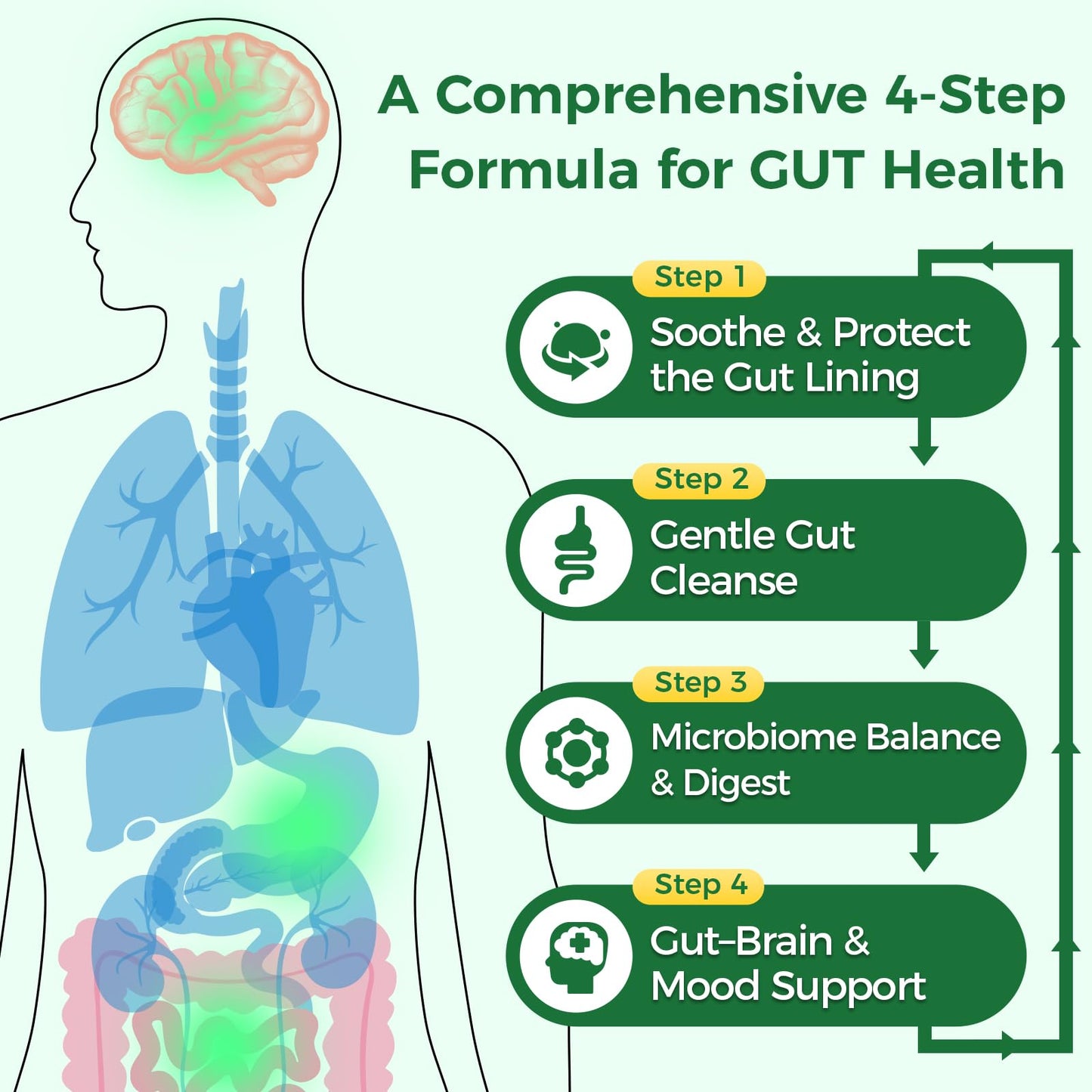 GREENPEOPLE Digestive Enzymes for Women & Men - Gentle Gut Health & Cleanse Capsule with Slippery Elm, Chlorophyll, Spirulina, Probiotics Complex - Complete Sensitive Gut Supplement, 60 Capsules