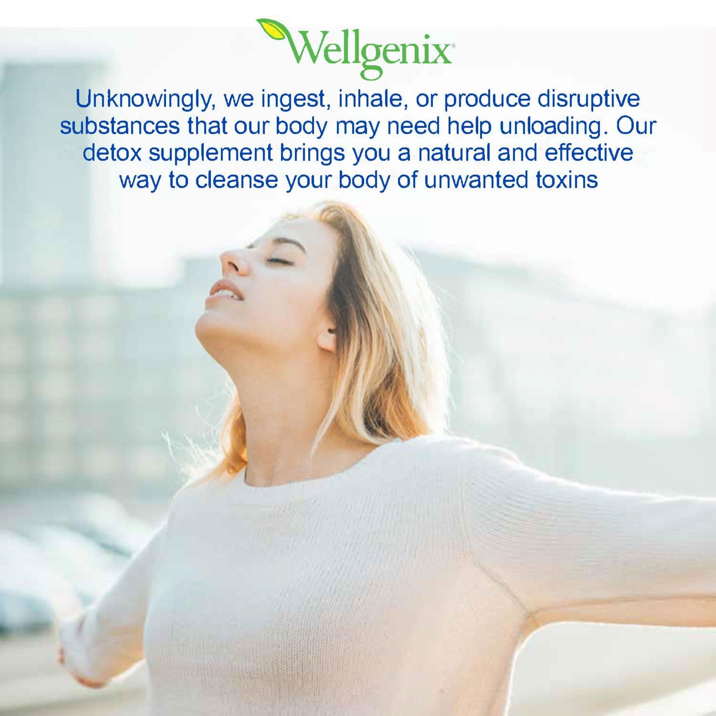 Wellgenix Strip NC Herbal Cleanse Detox Capsules, 4 Count