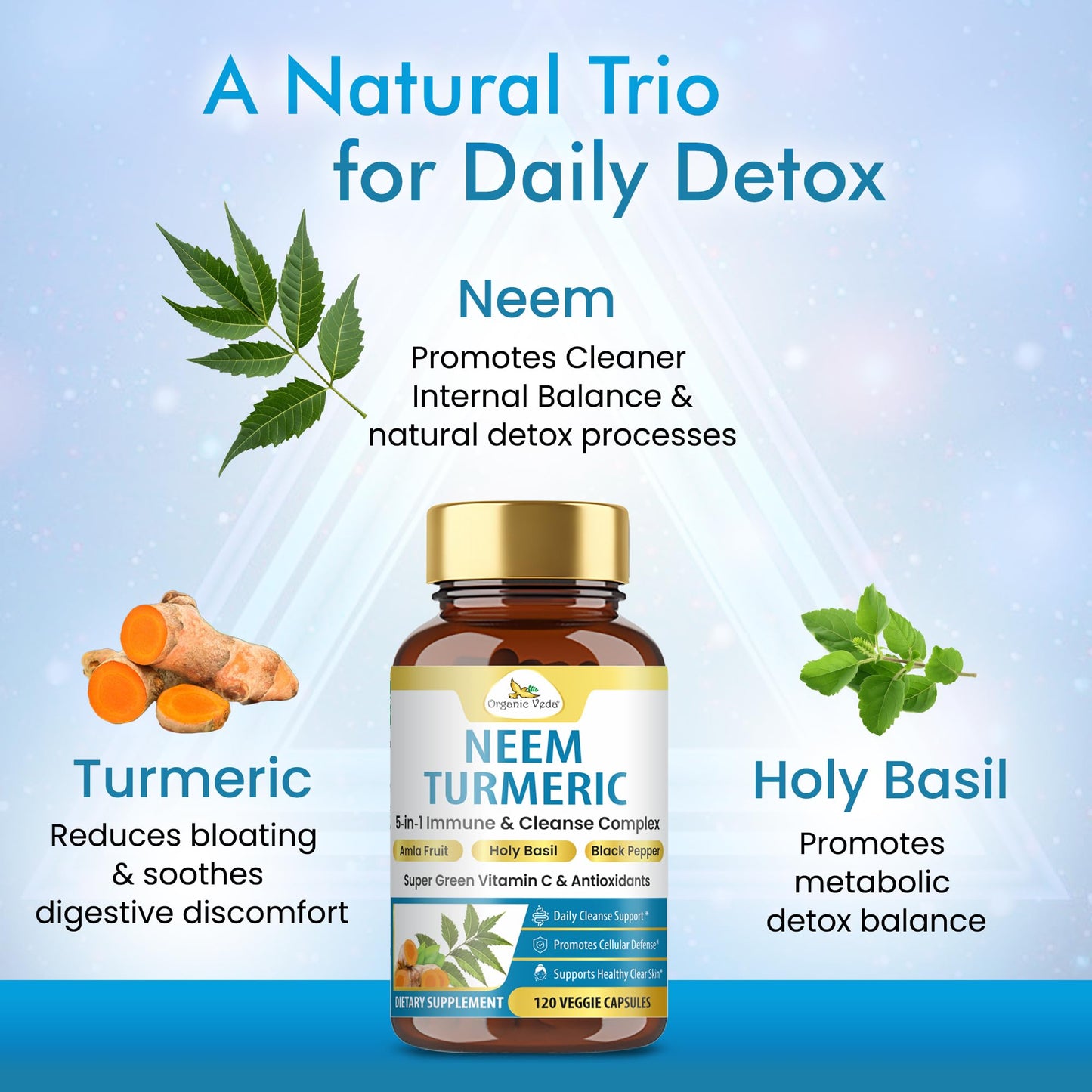 Organic Veda Neem Turmeric Capsules 120 Capsules