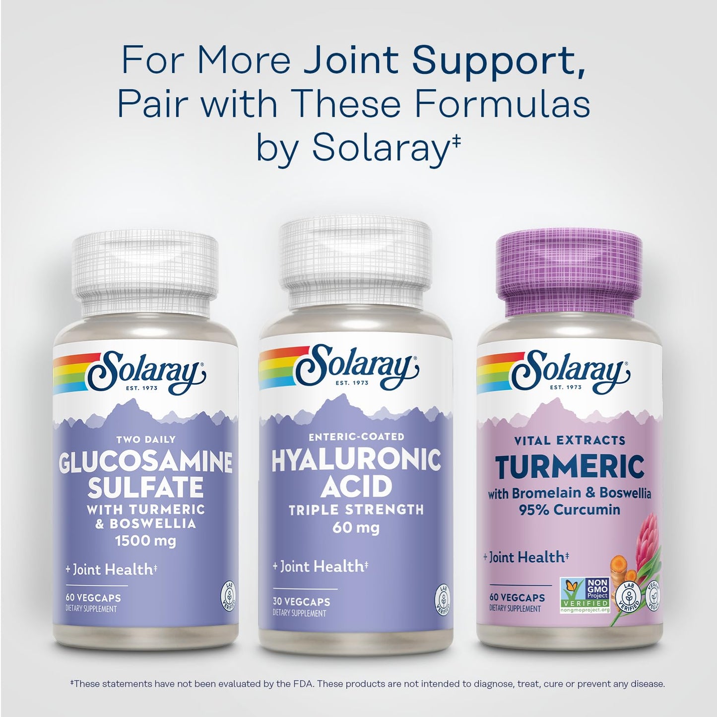 SOLARAY Hyaluronic Acid Triple Strength Capsules - Skin Elasticity and Firmness Support - Plus Vitamin C - Lab Verified, 30 VegCaps