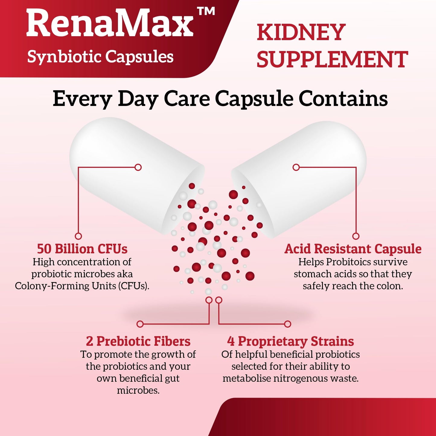 RENAMAX Kidney Restores & Kidney Care Probiotic & Prebiotic Supplement to Support Normal Kidney Function, Capsule, 180 Count