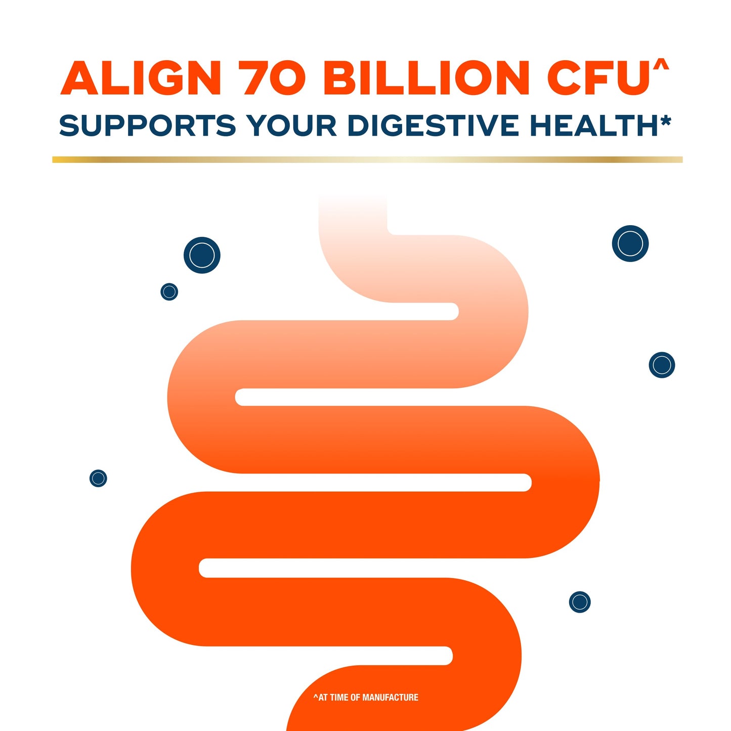 Align Probiotic 70 Billion CFU 6 Strain Blend Capsule 30
