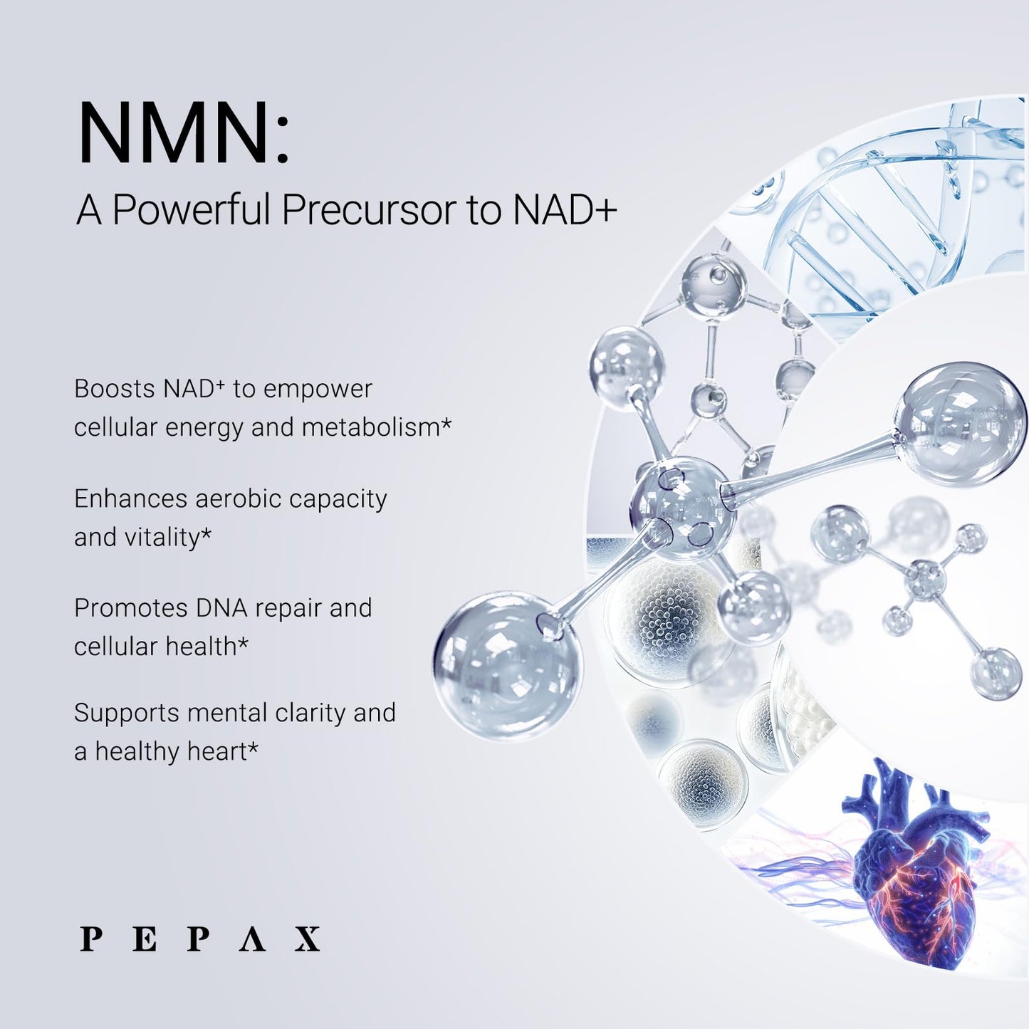 PEPAX NMN Supplement 500mg Capsule, 90 Capsules