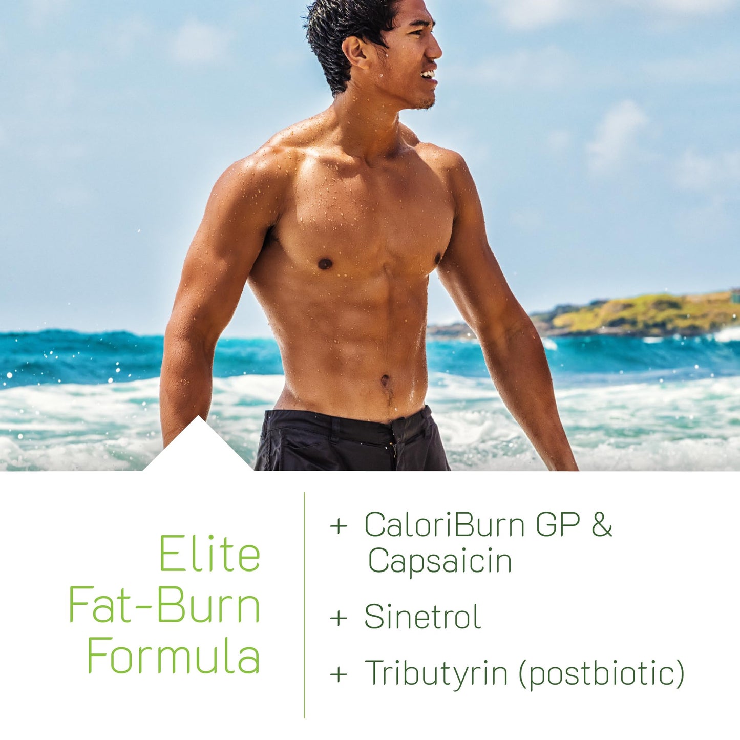 Irwin Naturals Stored-Fat Belly Burner Plus CaloriBurn GP Softgels 40 Count