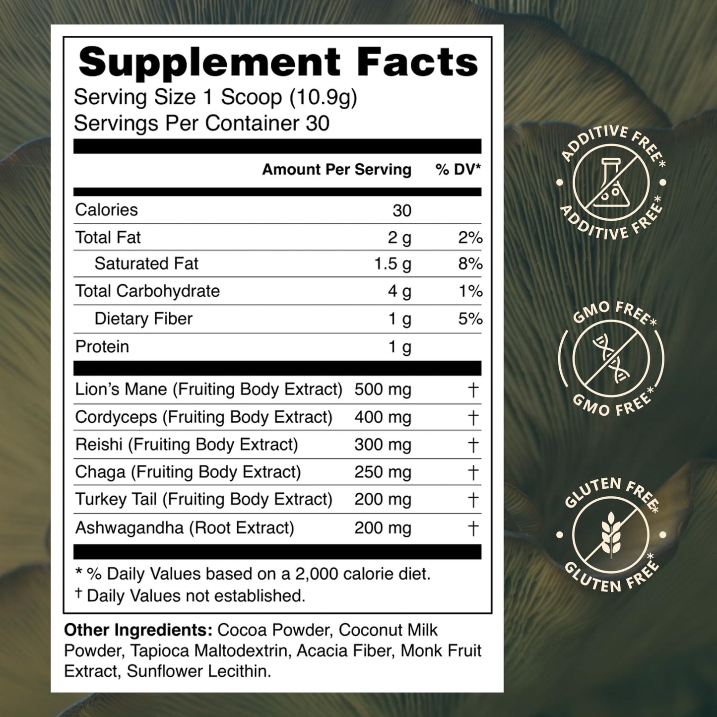 Prosper Mushroom Cocoa Powder for Focus & Immunity (Lion's Mane, Cordyceps, Chaga, Reishi, Turkey Tail) & Ashwagandha - Energy, Gut & Stress Support - Coffee Alternative & Hot Chocolate 11 Servings