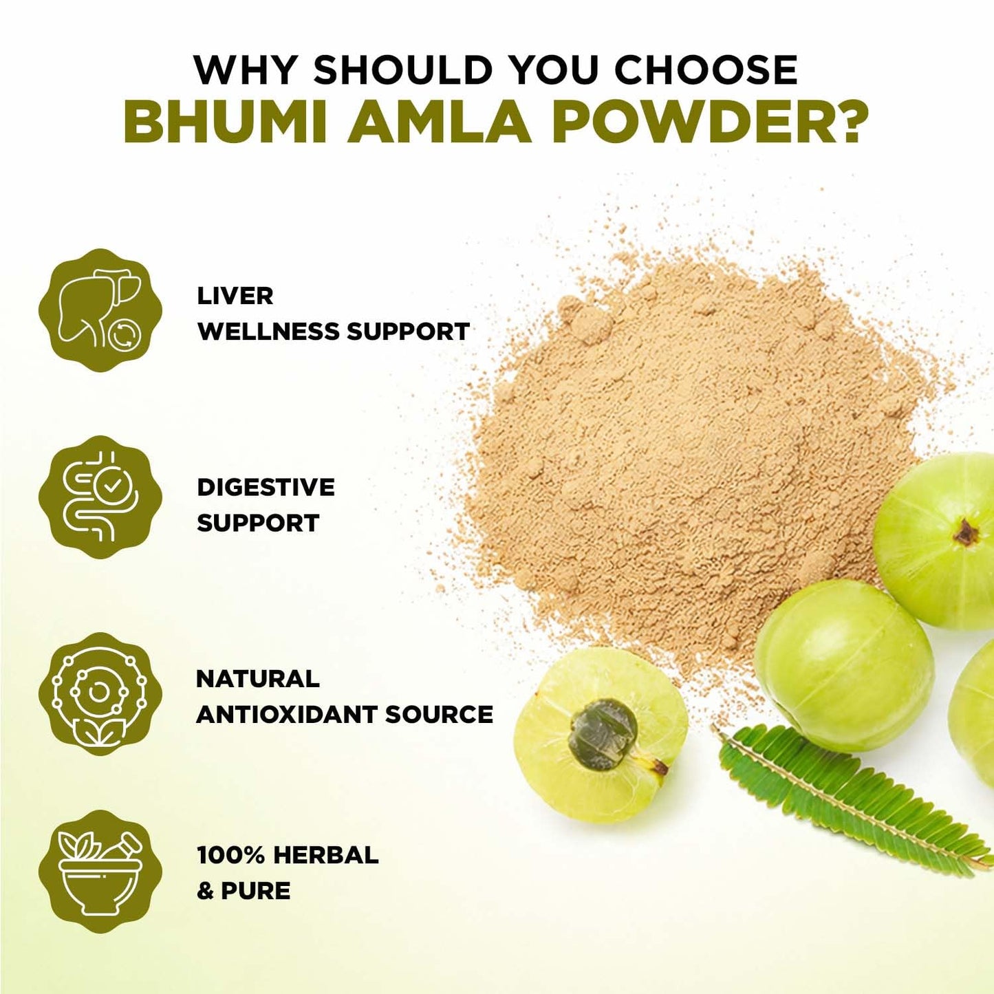 VEDIKROOTS Bhumi Amla Powder (Phyllanthus Niruri) 10.58 oz total