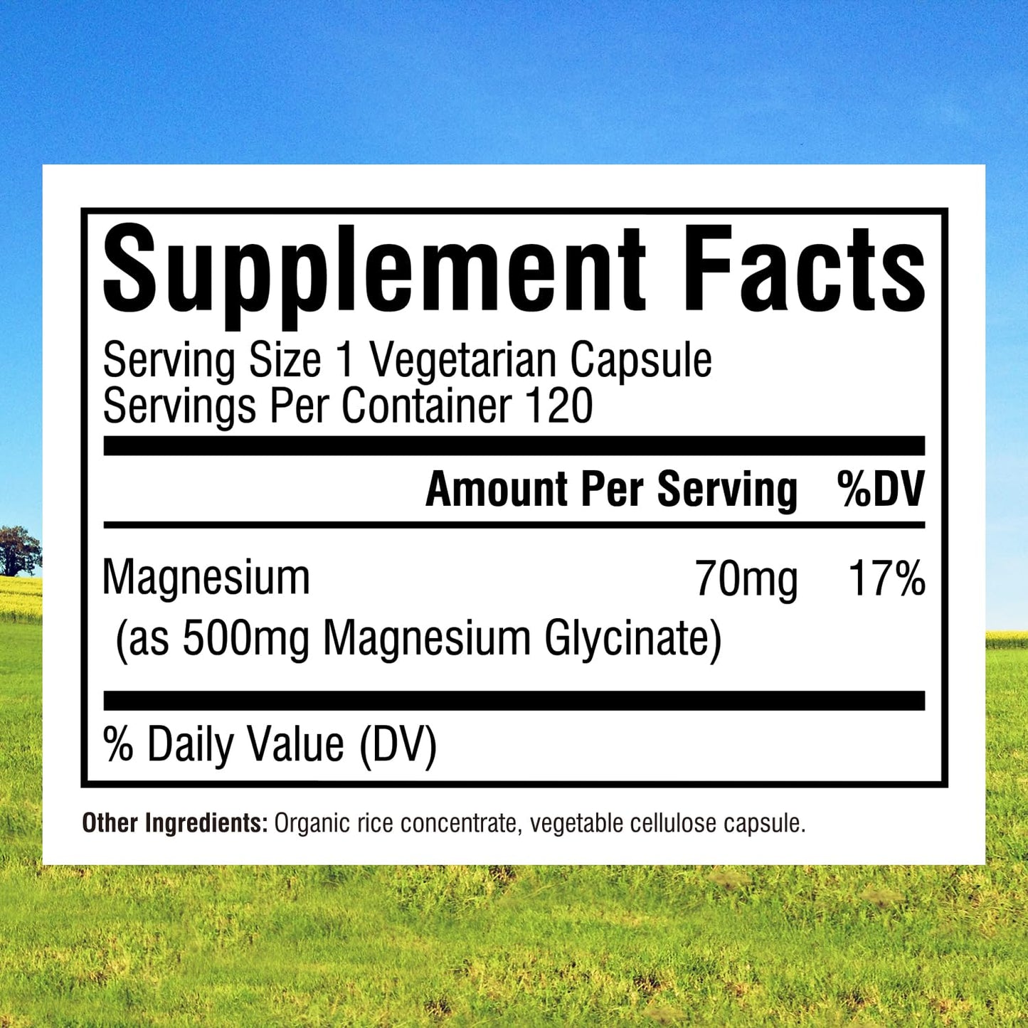 Innate Vitality Magnesium Glycinate 500mg Capsule, 240 Capsules