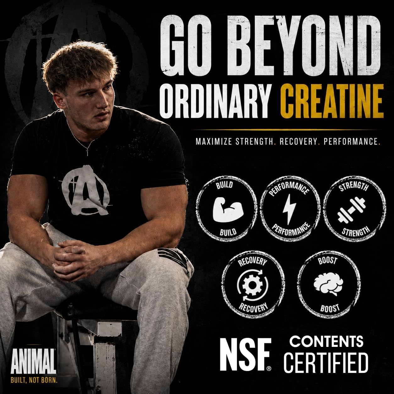 Animal Micronized Creatine Monohydrate Capsules, 300 Count