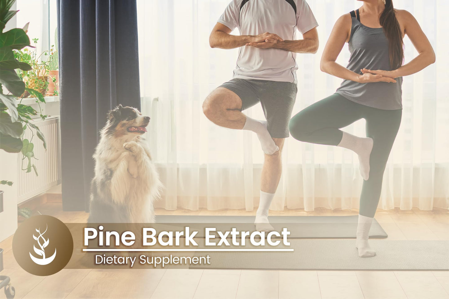 Pure Original Ingredients Pine Bark Extract Capsule, 100 Count