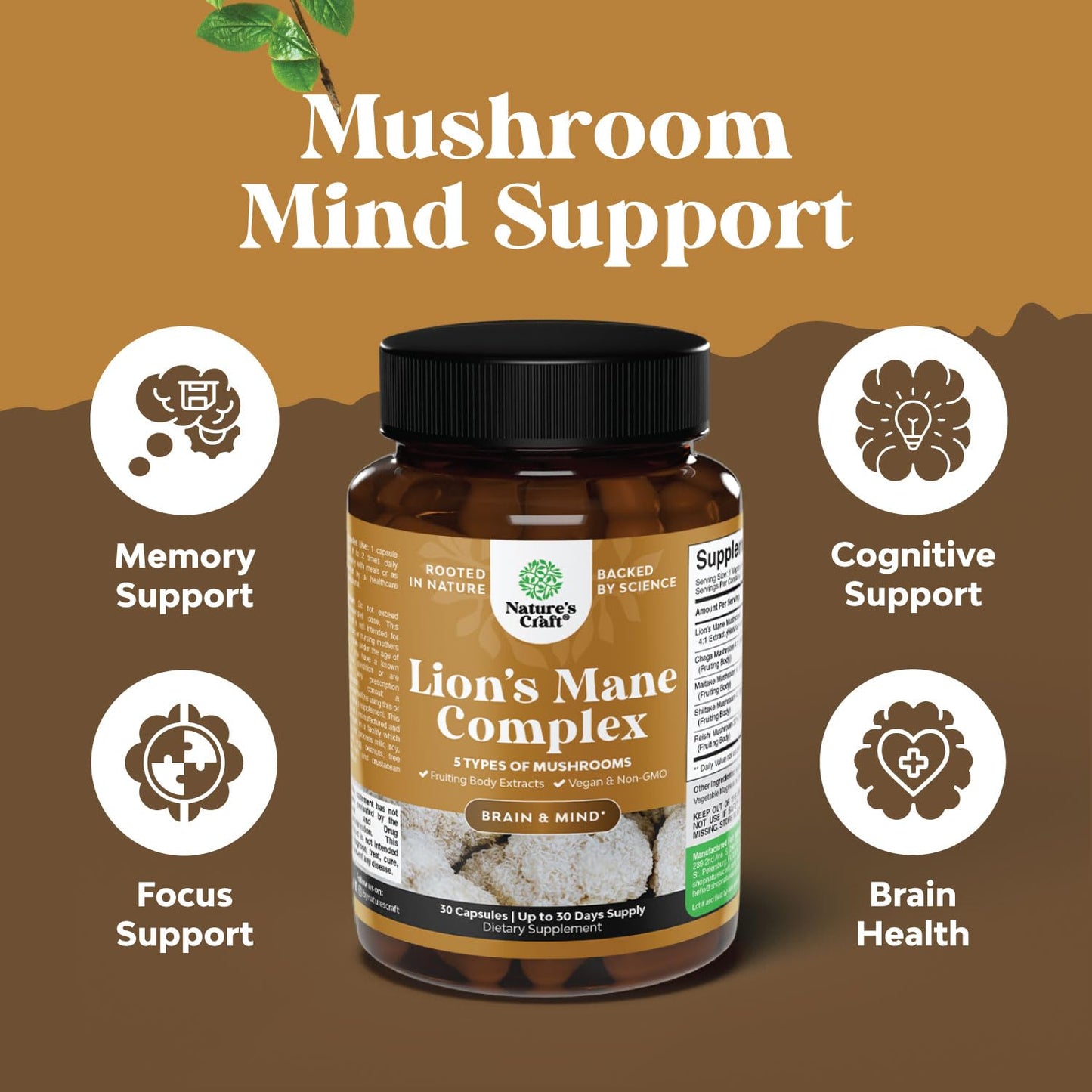 Natures Craft Lion's Mane Mushroom Capsules for Brain Fog with Reishi & Chaga, 30 Count