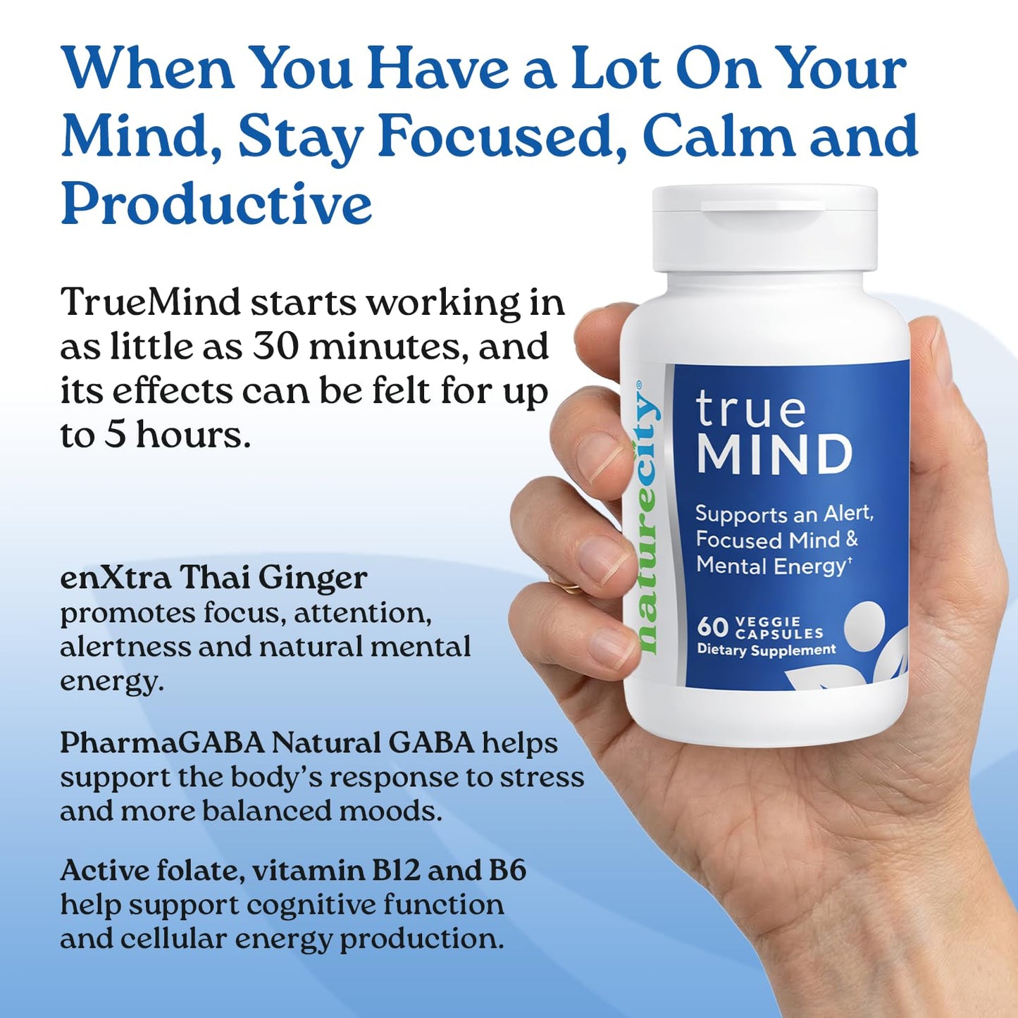 NatureCity True-Mind Focus, Alertness & Stress Support Capsules, 60 Count