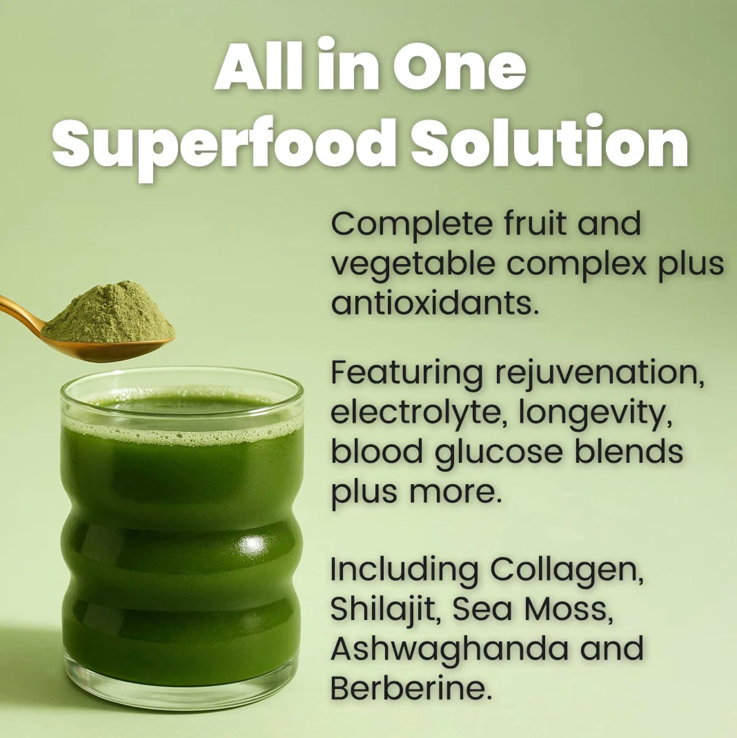 PROJECT AD LLC AD1 All in One Superfood Solution, Powder, 12.03 oz