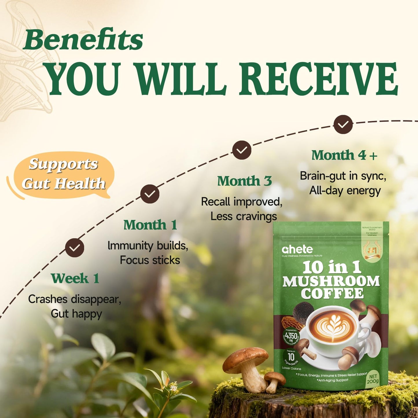 Ahete 10-in-1 Mushroom Coffee with Organic Arabica, Lion’s Mane, Chaga, Reishi & Cordyceps Powder 7.05 oz