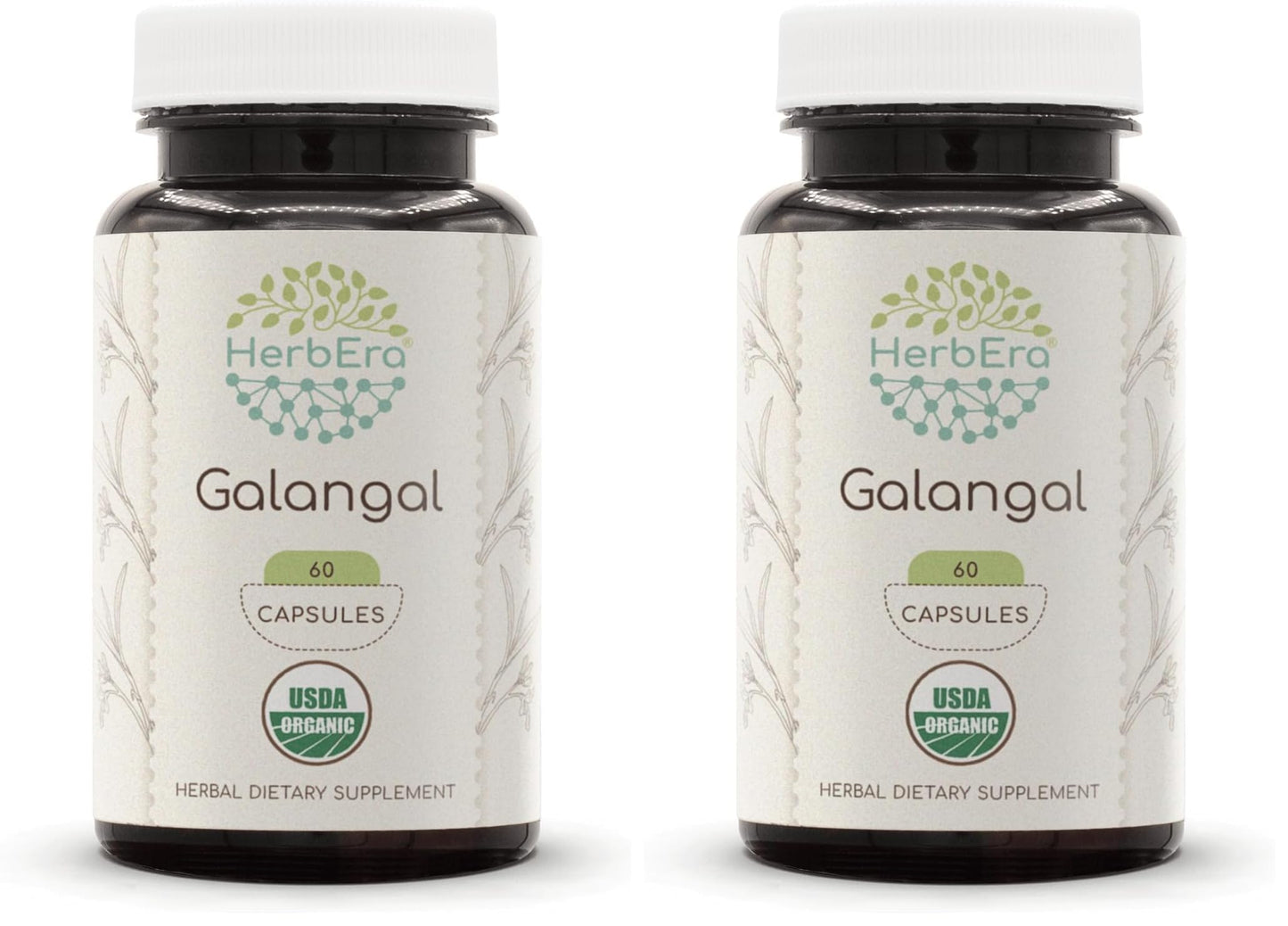HerbEra Galangal Capsules 120 Count