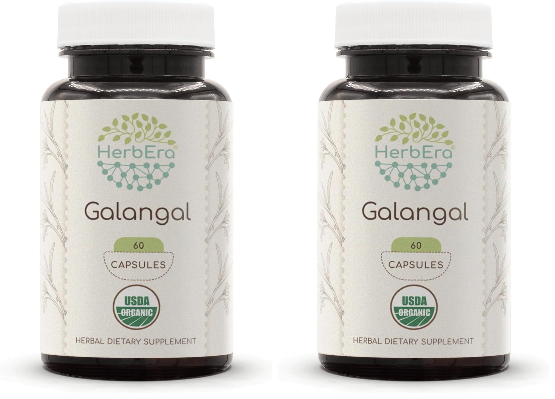 HerbEra Galangal Capsules 120 Count