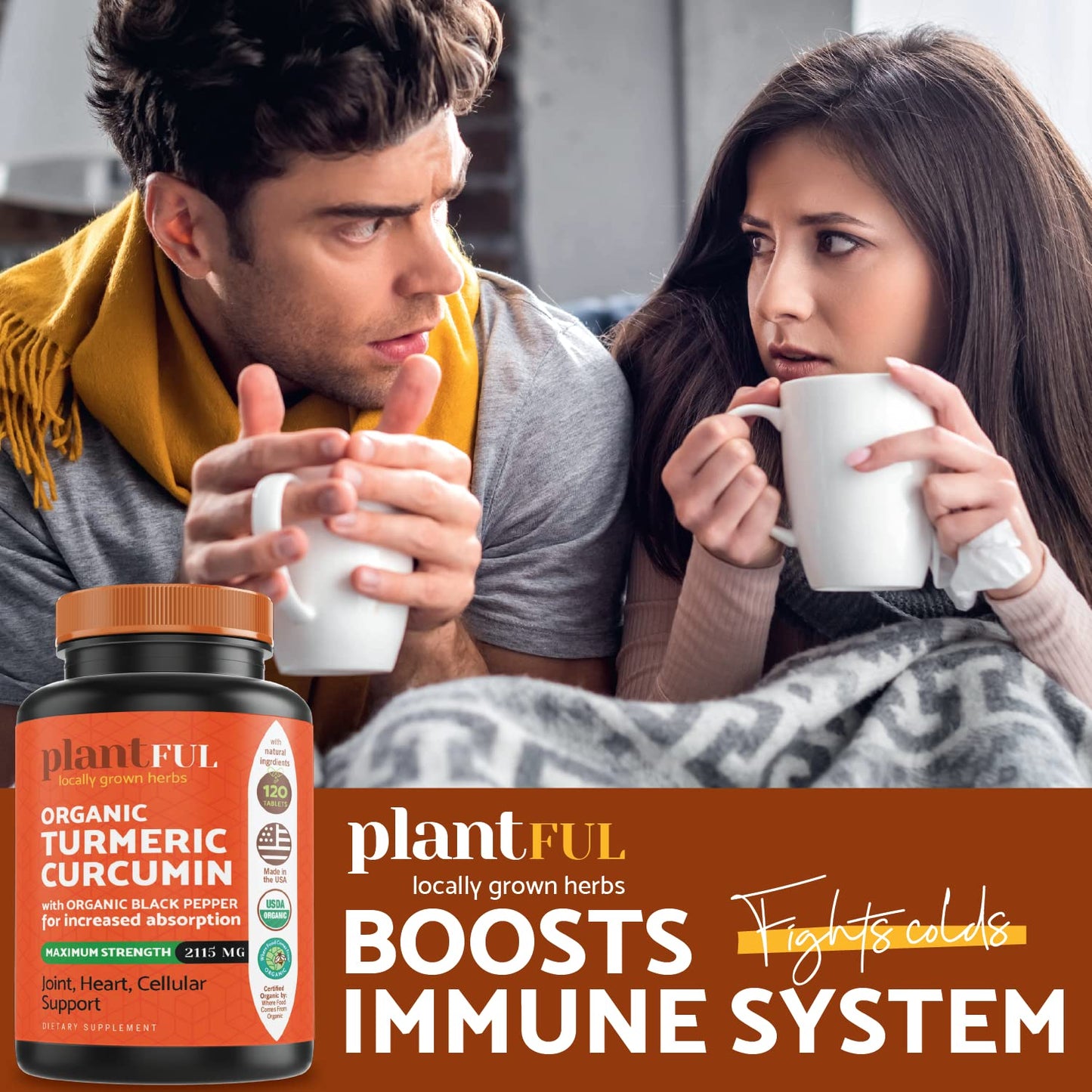 PLANTFUL RESEARCH Organic Turmeric Curcumin with Black Pepper Tablets, 120 Tablets