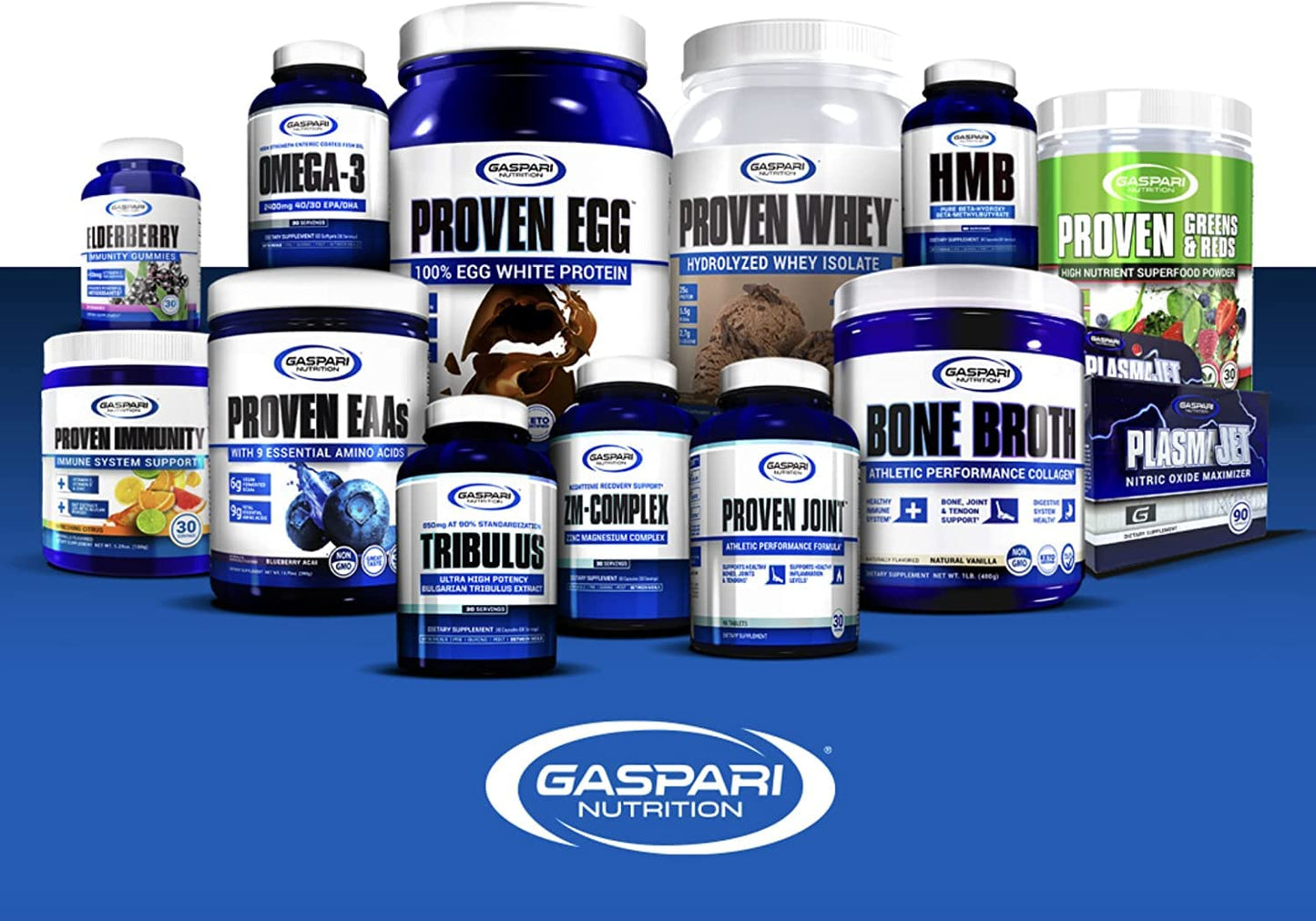 Gaspari Nutrition Proven Vegan Protein Powder Vanilla Chai Latte, 32 Servings