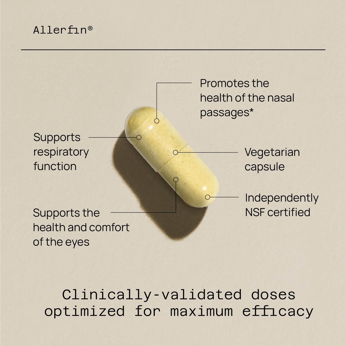 Quality of Life Premium Sinus Relief Supplement, 60 Capsules