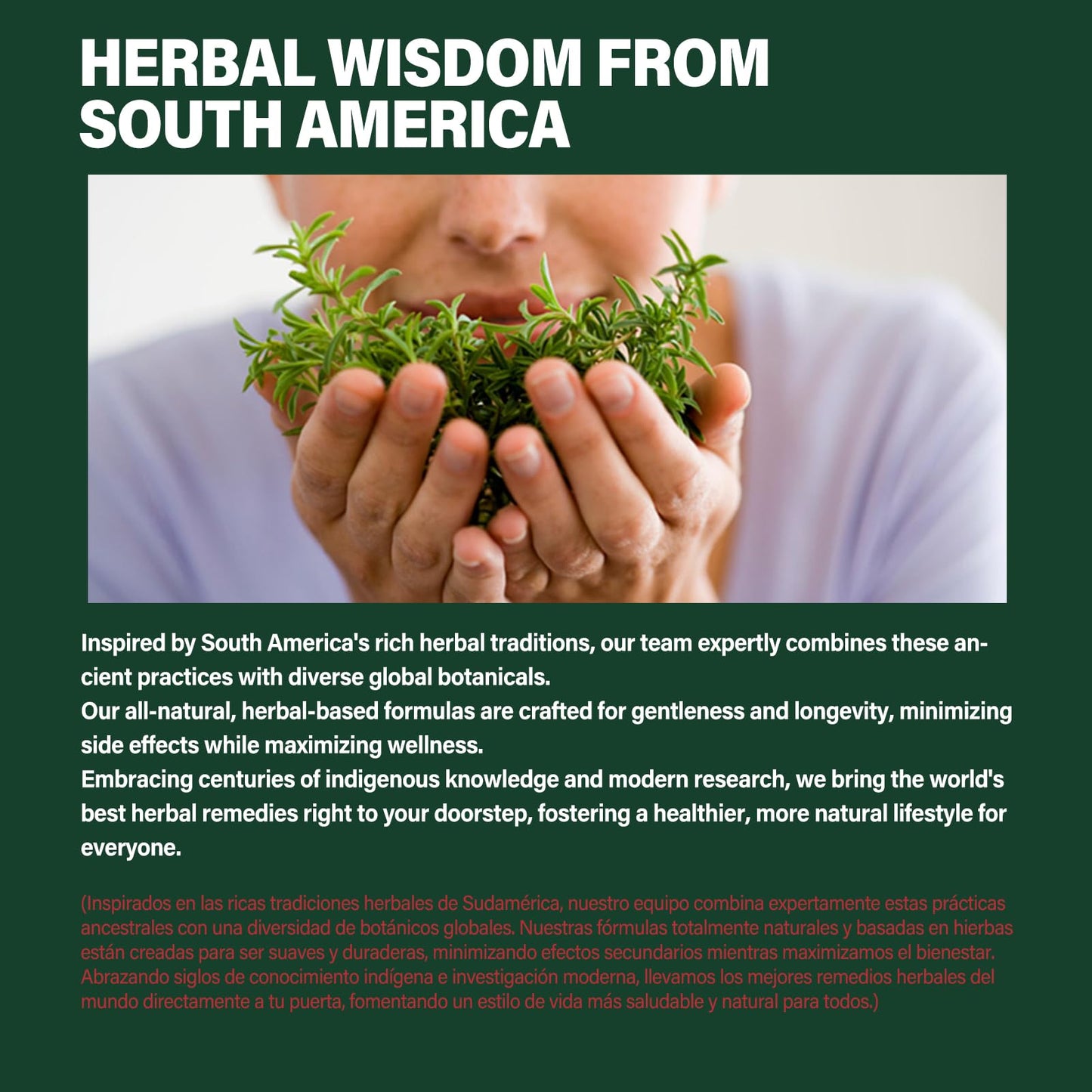Verdeherb Herbal Supplement All in 1 Natural Extract with Sarsaparilla (Zarzaparrilla) for Detox & Cleanse Immunity Support & Combat Free Radicals 240 Capsules