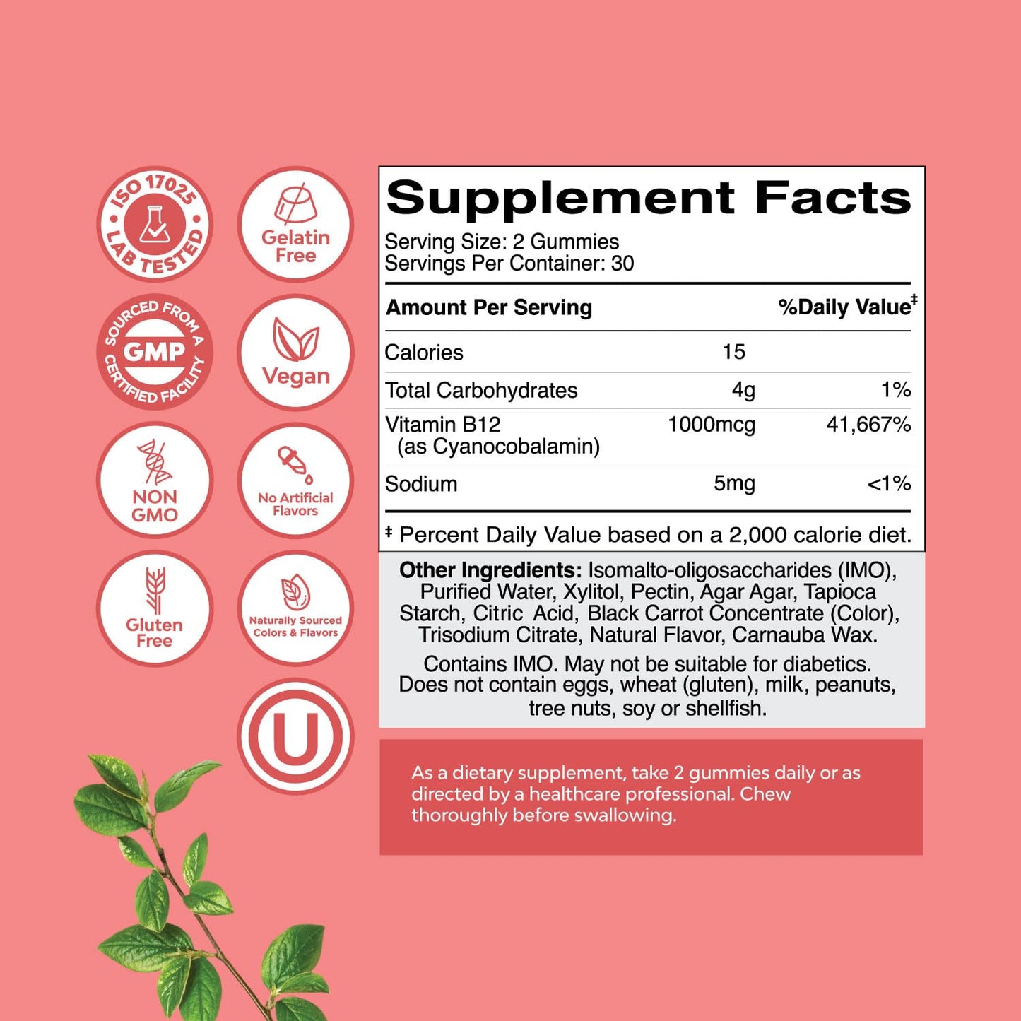 Natures Craft Vitamin B12 Gummies Sugar Free 1000mcg, 60 Count