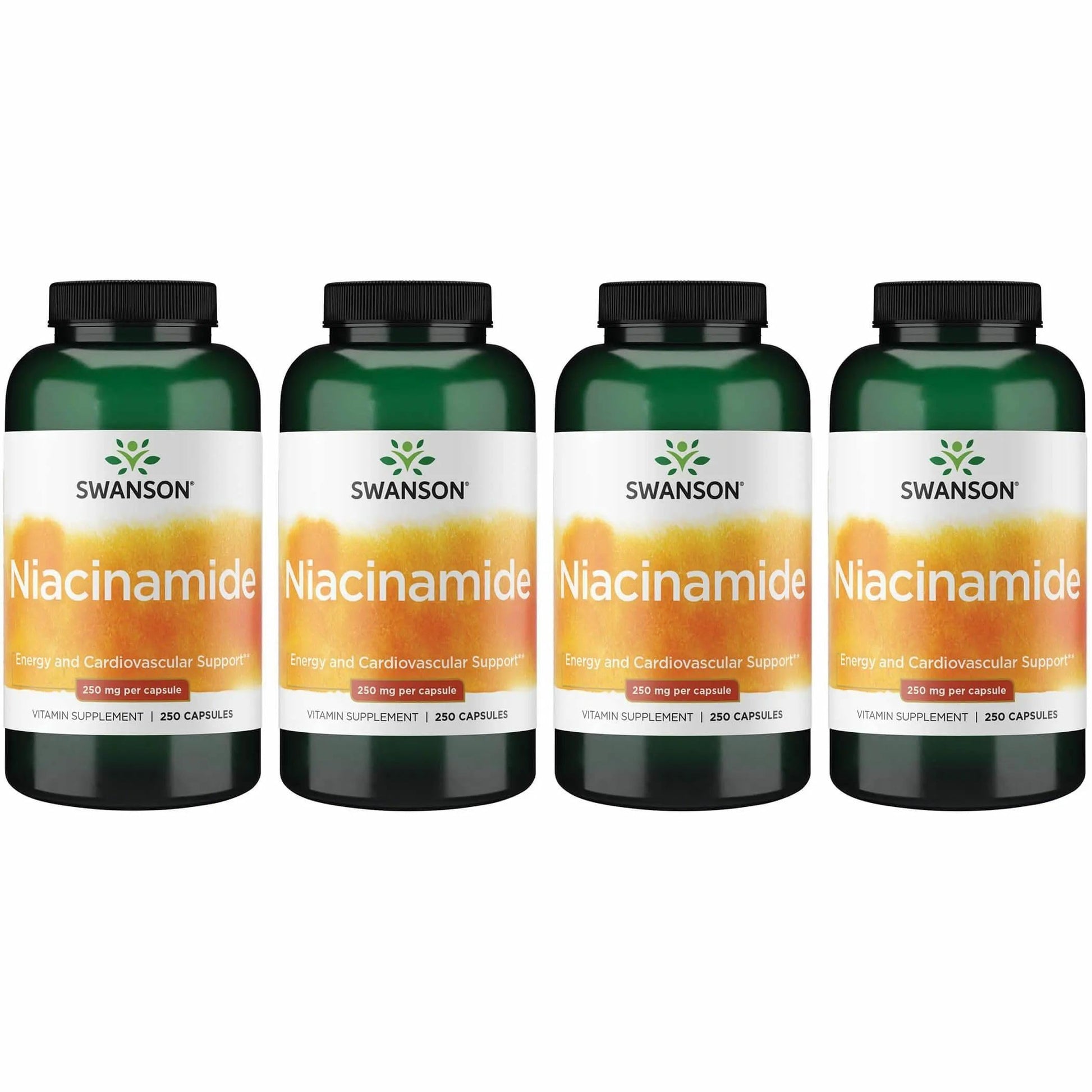 Swanson Niacinamide Vitamin B3 Supplement 1000 Capsules