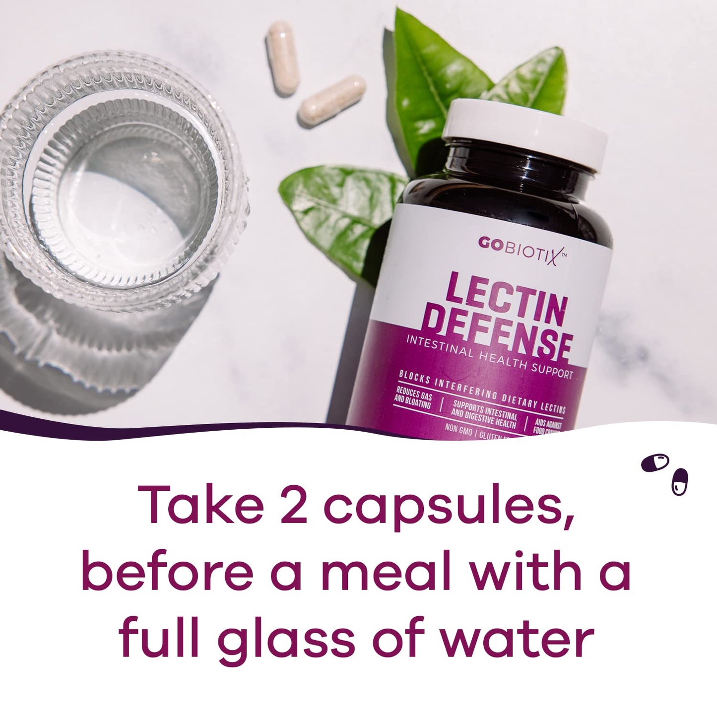 GOBIOTIX Lectin Defense 120 Capsules