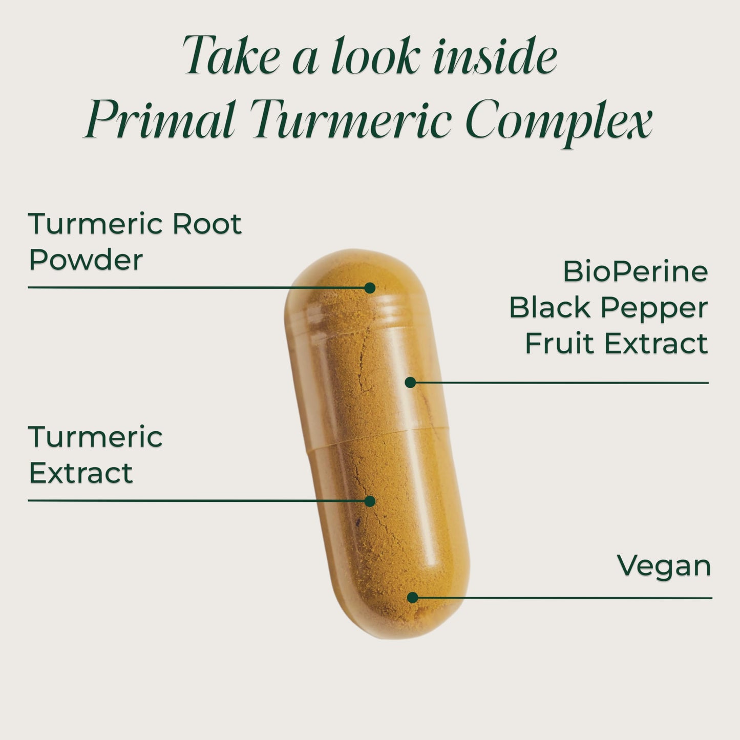 Primal Harvest Turmeric Complex Capsules 120