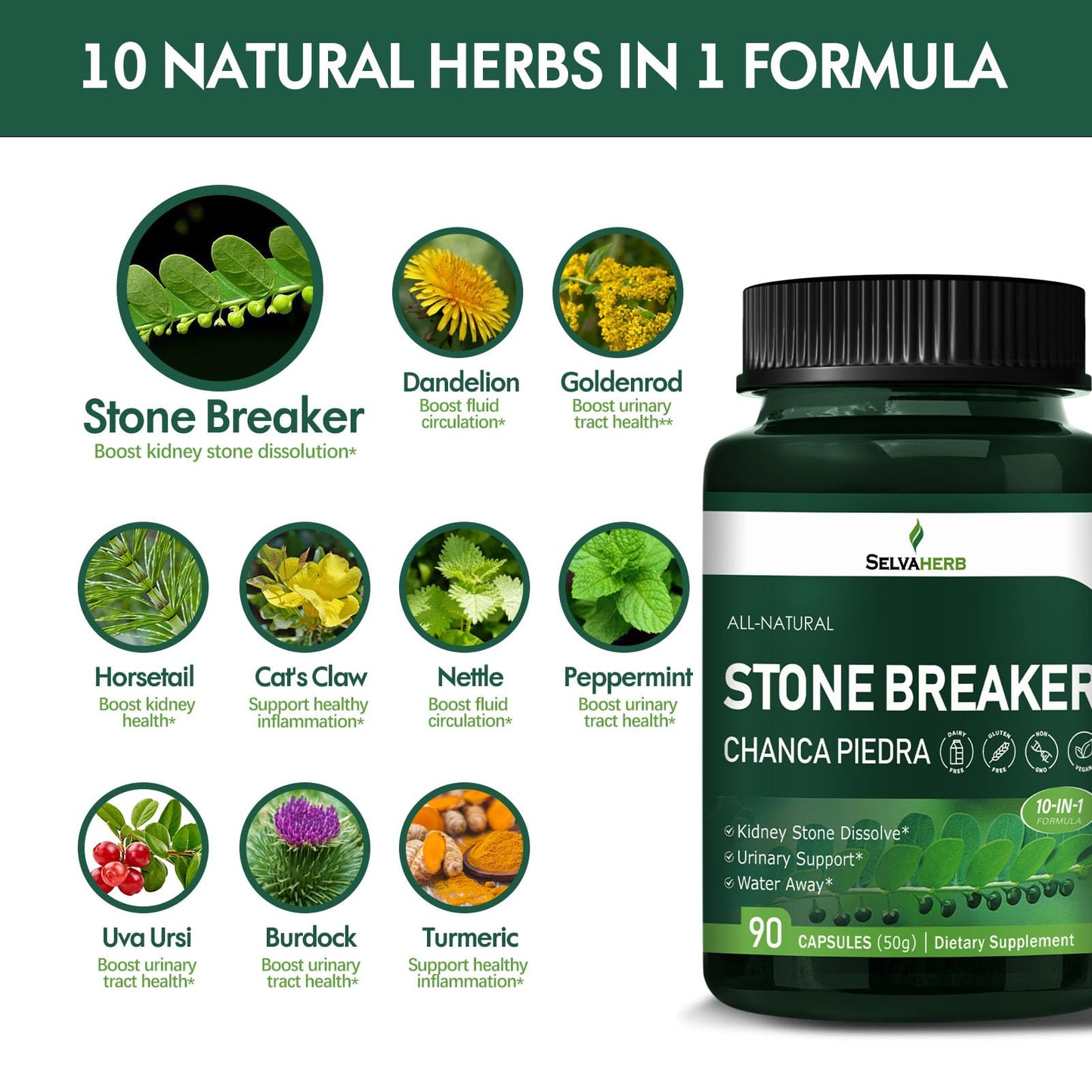 Selvaherb Stone Breaker (Chanca Piedra) Capsules 90