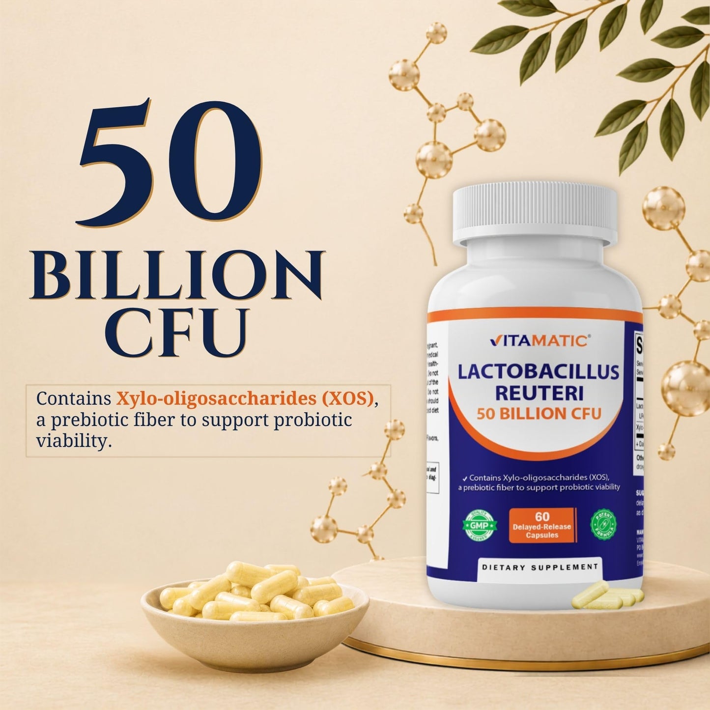Vitamatic Lactobacillus Reuteri 50 Billion CFU with XOS Prebiotic, Delayed-Release Probiotic Capsules, 60 Count