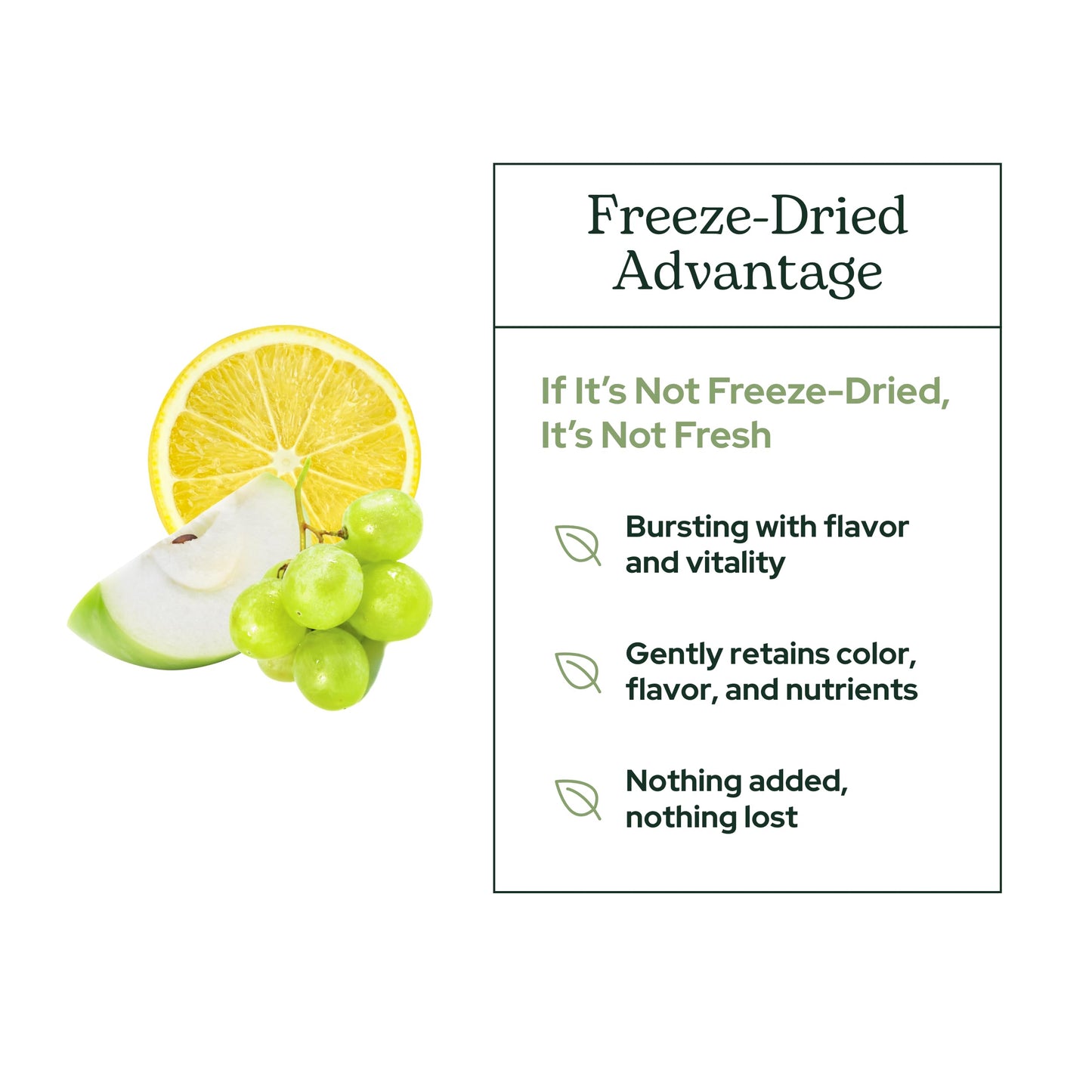 Eclectic Institute Raw Fresh Freeze-Dried Quercetin Flavonoid Complex Whole Food Powder 3.2 oz