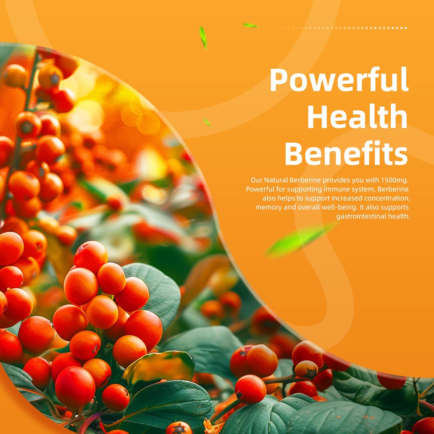 ElevateLife Berberine Supplement with True Ceylon Cinnamon, Berberine 1500mg Per Serving, 120 Capsules