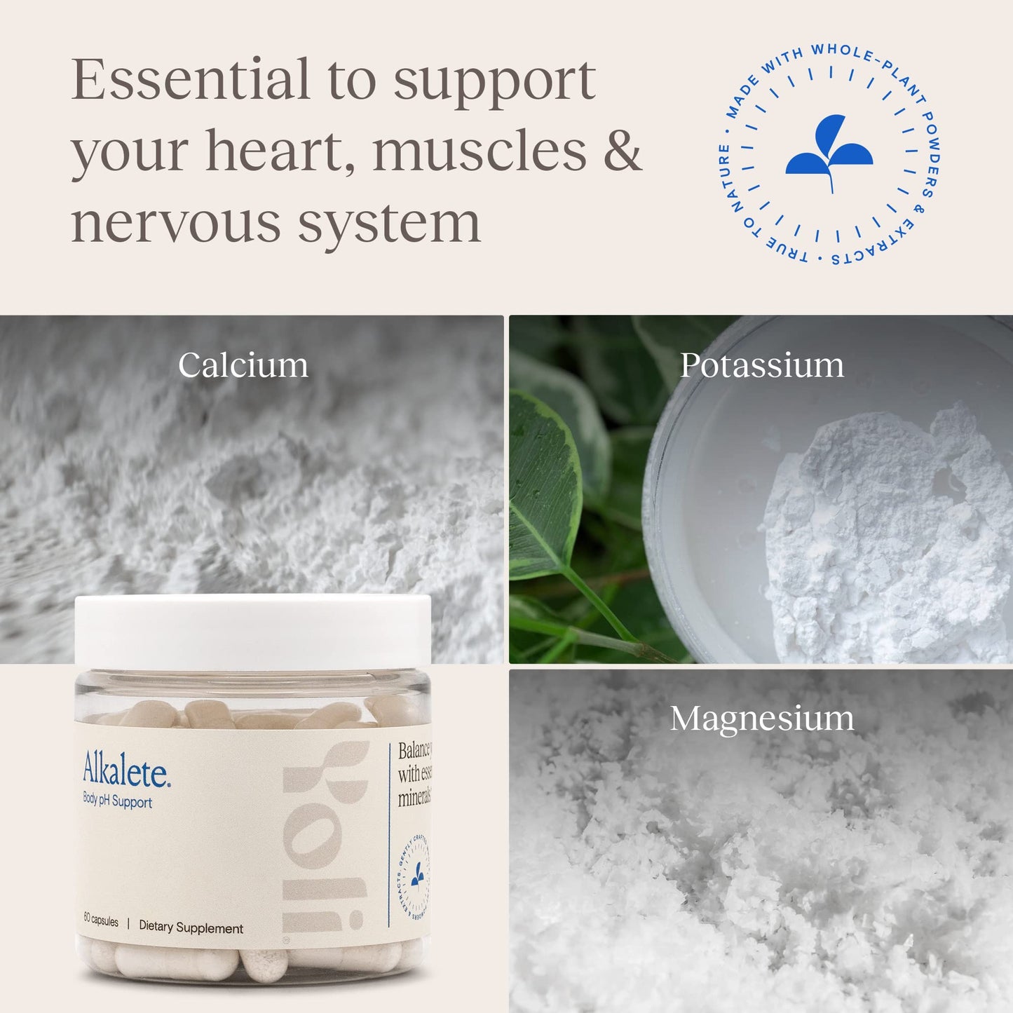 Yoli Alkalete Calcium and Magnesium Supplement Capsules, 60 Count