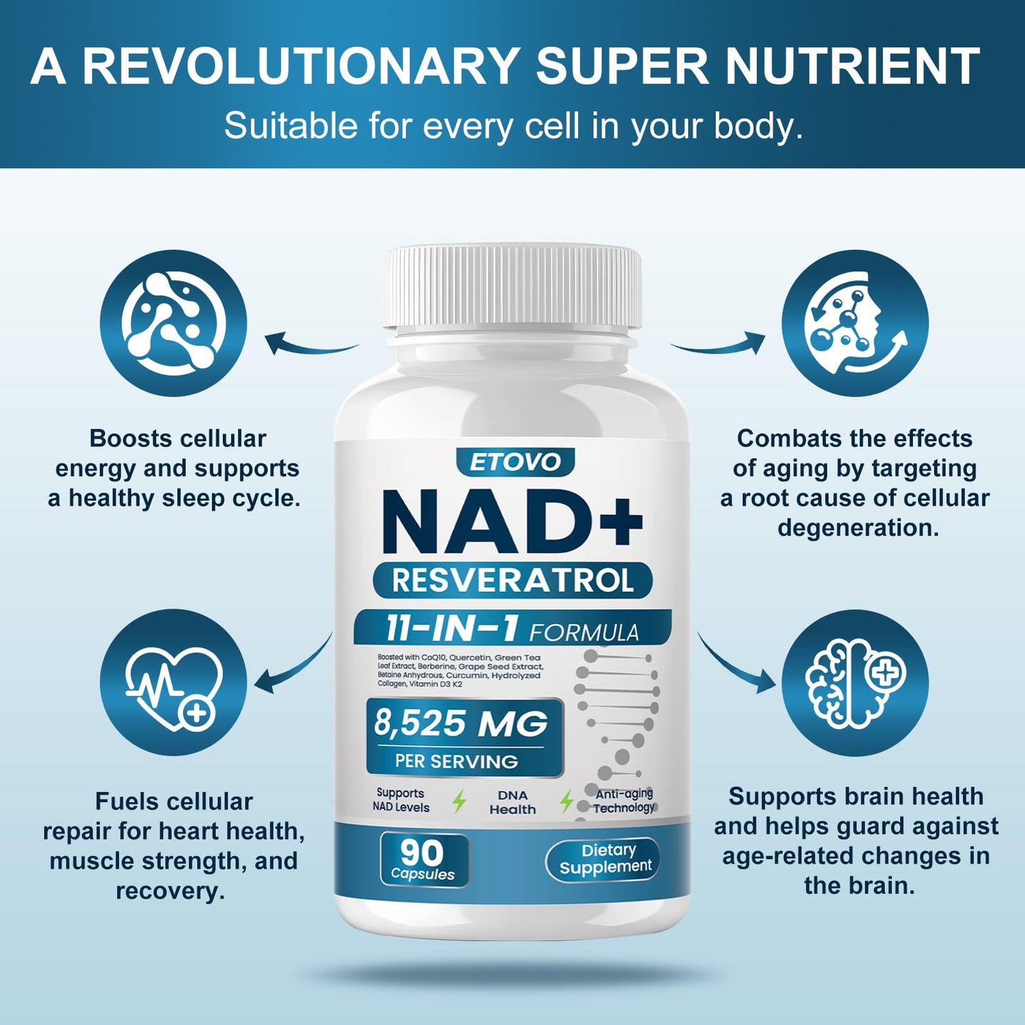 ETOVO NAD+ Supplement Capsule 180 Count