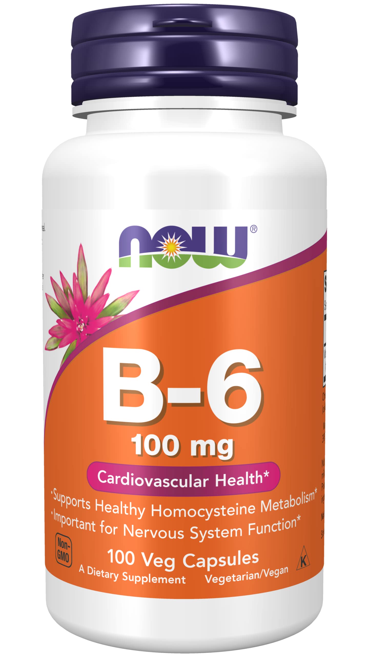 NOW Foods Vitamin B-6 100 mg Capsule, 100 Capsules