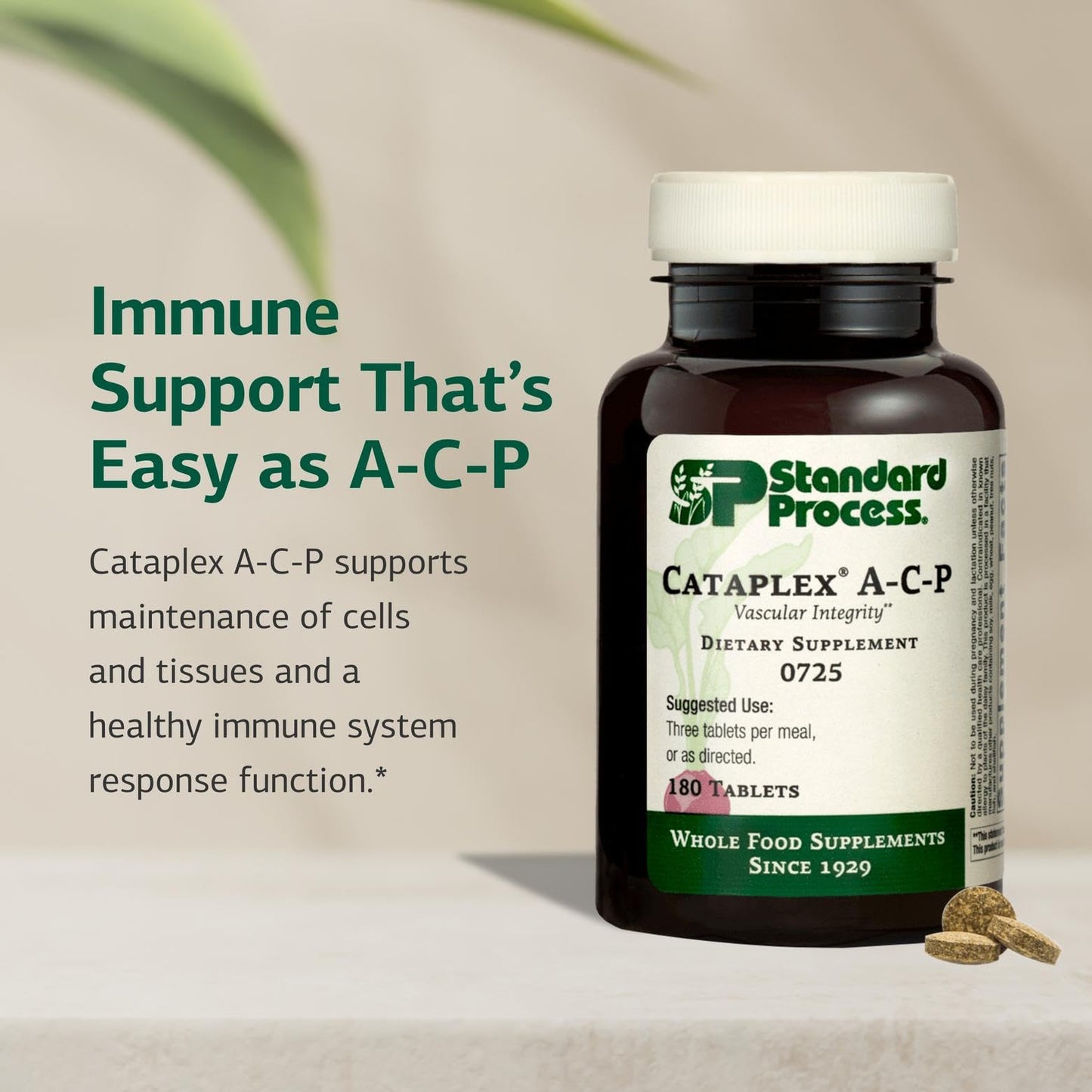 Standard Process Cataplex A-C-P Powder, 180 Count