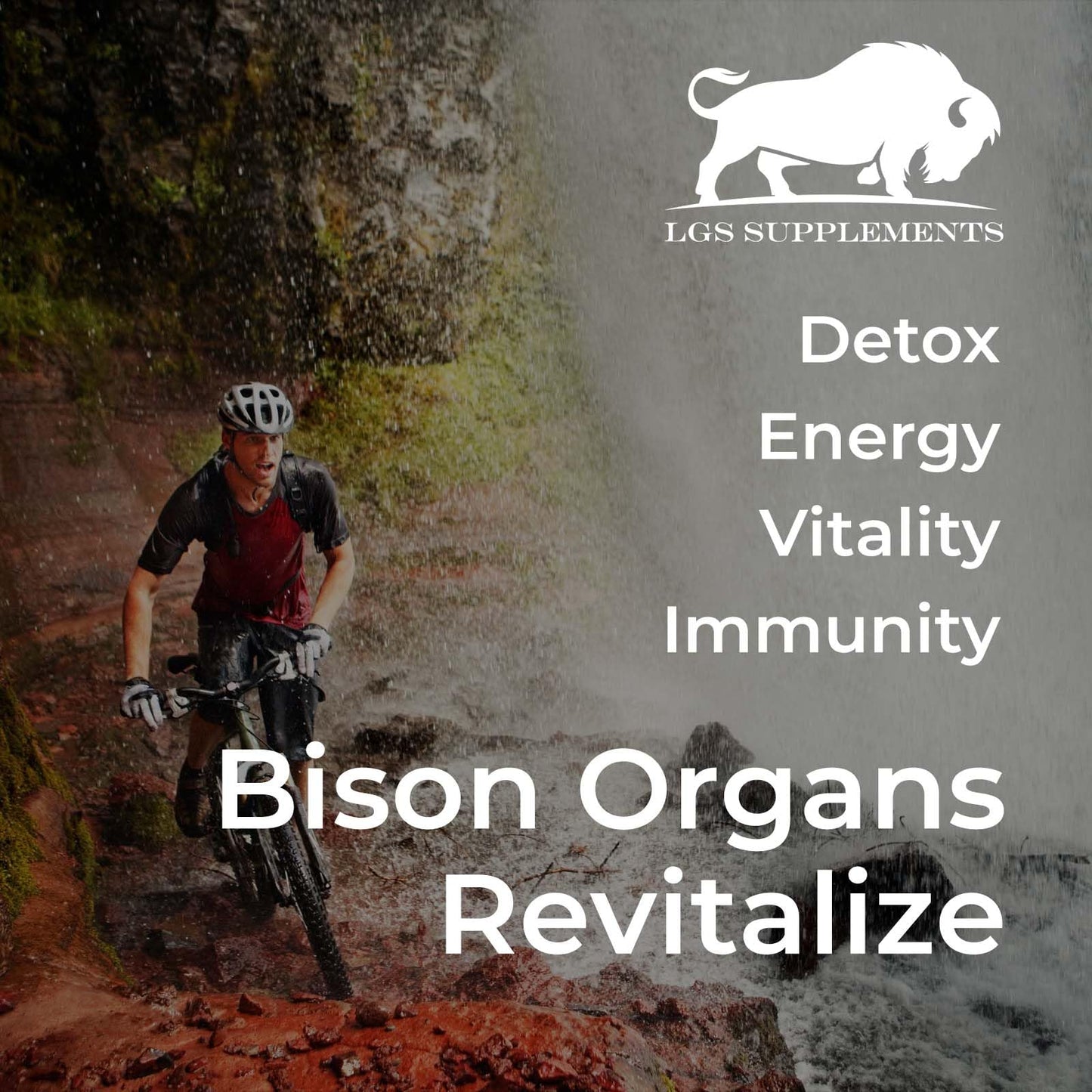 LGS Supplements Grass Fed Bison Organ Supplement Capsules, 180 Capsules