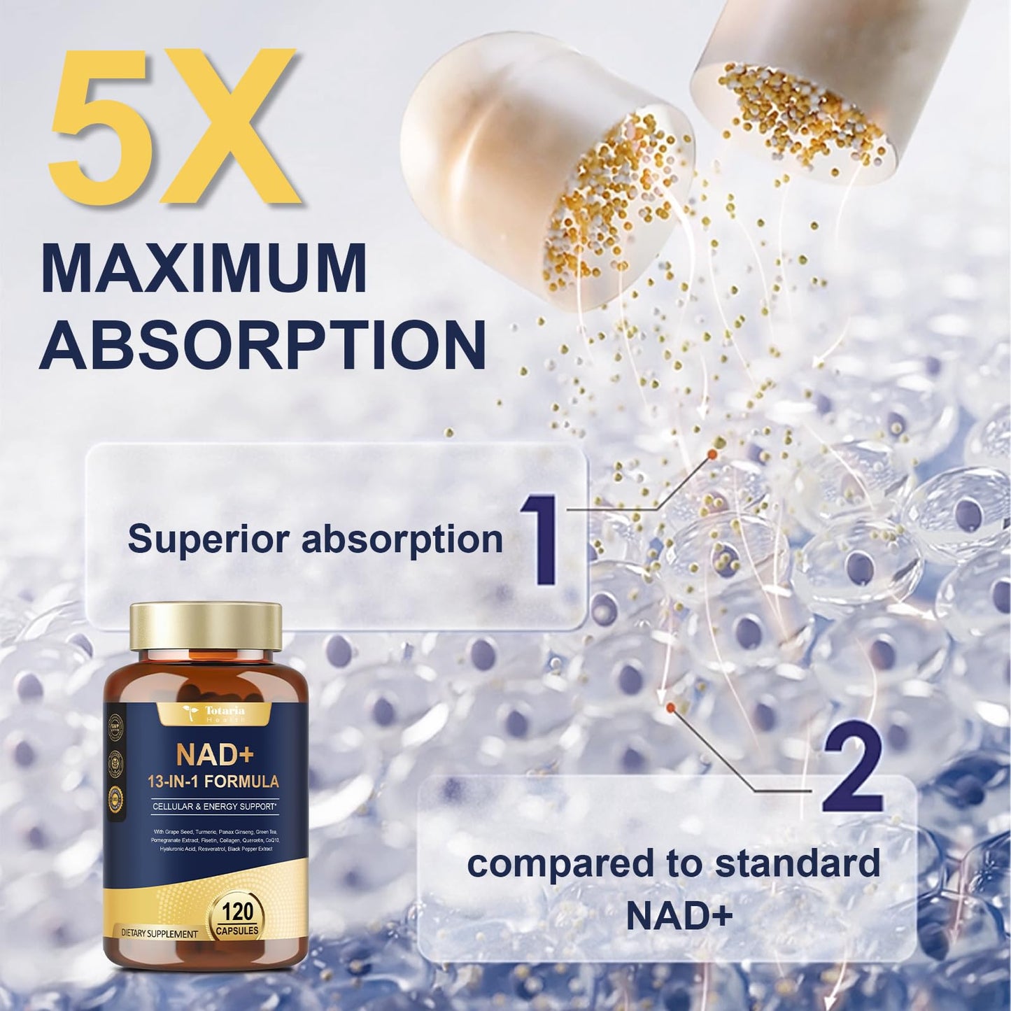 Totaria NAD+ Supplement for Women and Men with Nicotinamide Riboside, Resveratrol, Quercetin, and Betaine, 240 Capsules