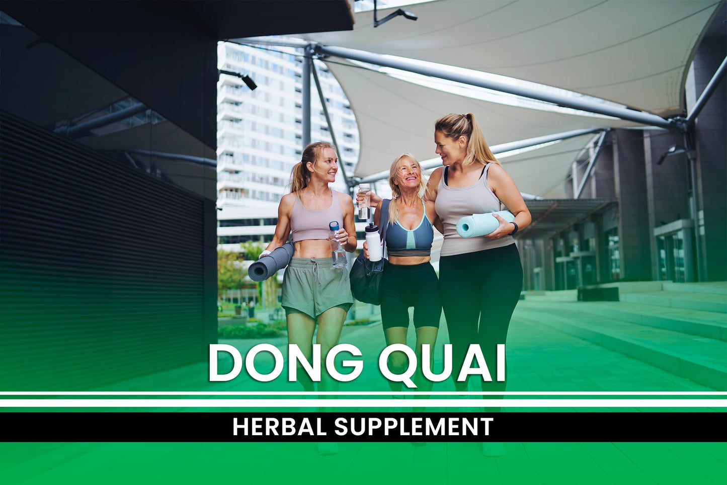 PURE ORIGINAL INGREDIENTS Dong Quai Capsule, 365 Capsules