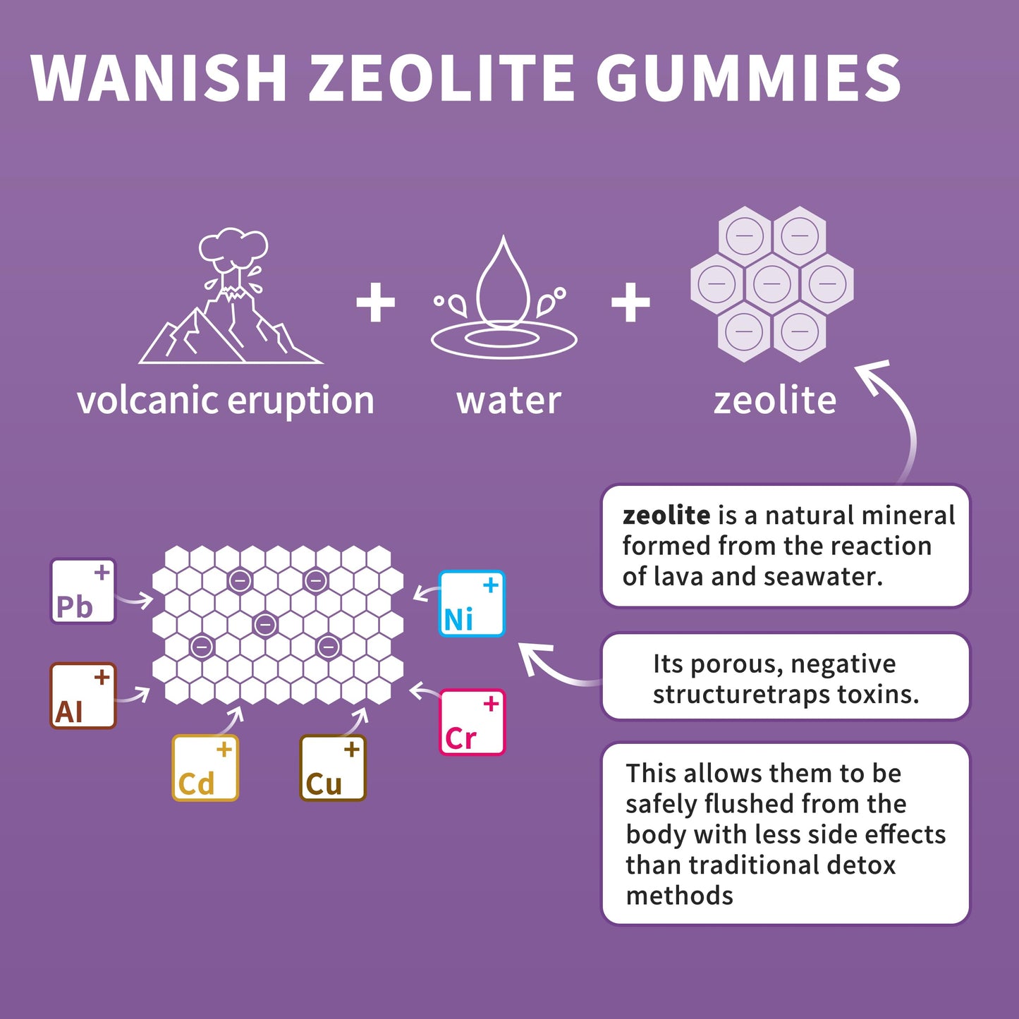 Wanish Zeolite Gummies for Adults with Clinoptilolite, Chlorella, Milk Thistle & Vitamins, 60 Gummies