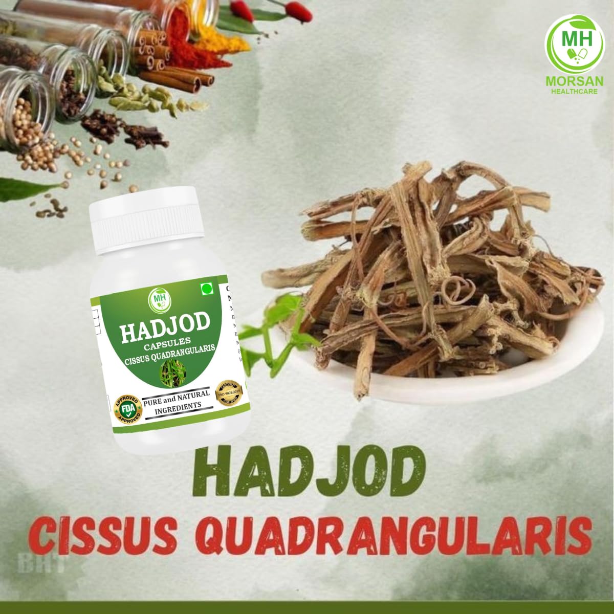 Morsan Healthcare Hadjod (Cissus Quadrangularis) 60 Capsules