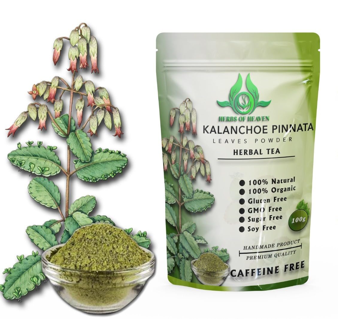 HERBS OF HEAVEN Kalanchoe Pinnata Leaves Powder 3.5 Ounces